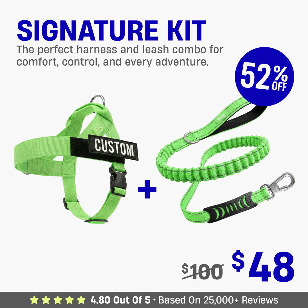 Signature Kit - 52% OFF
