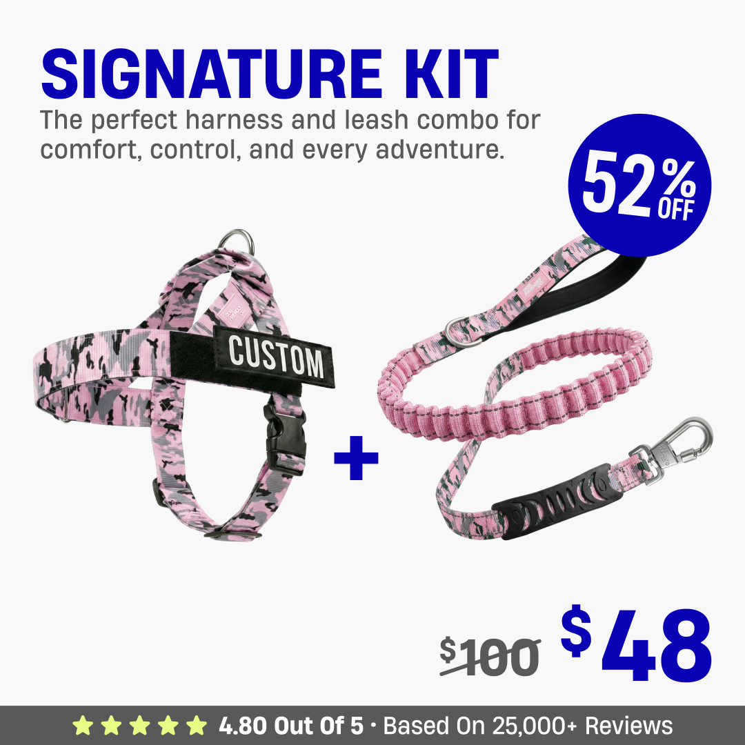 Signature Kit - 52% OFF