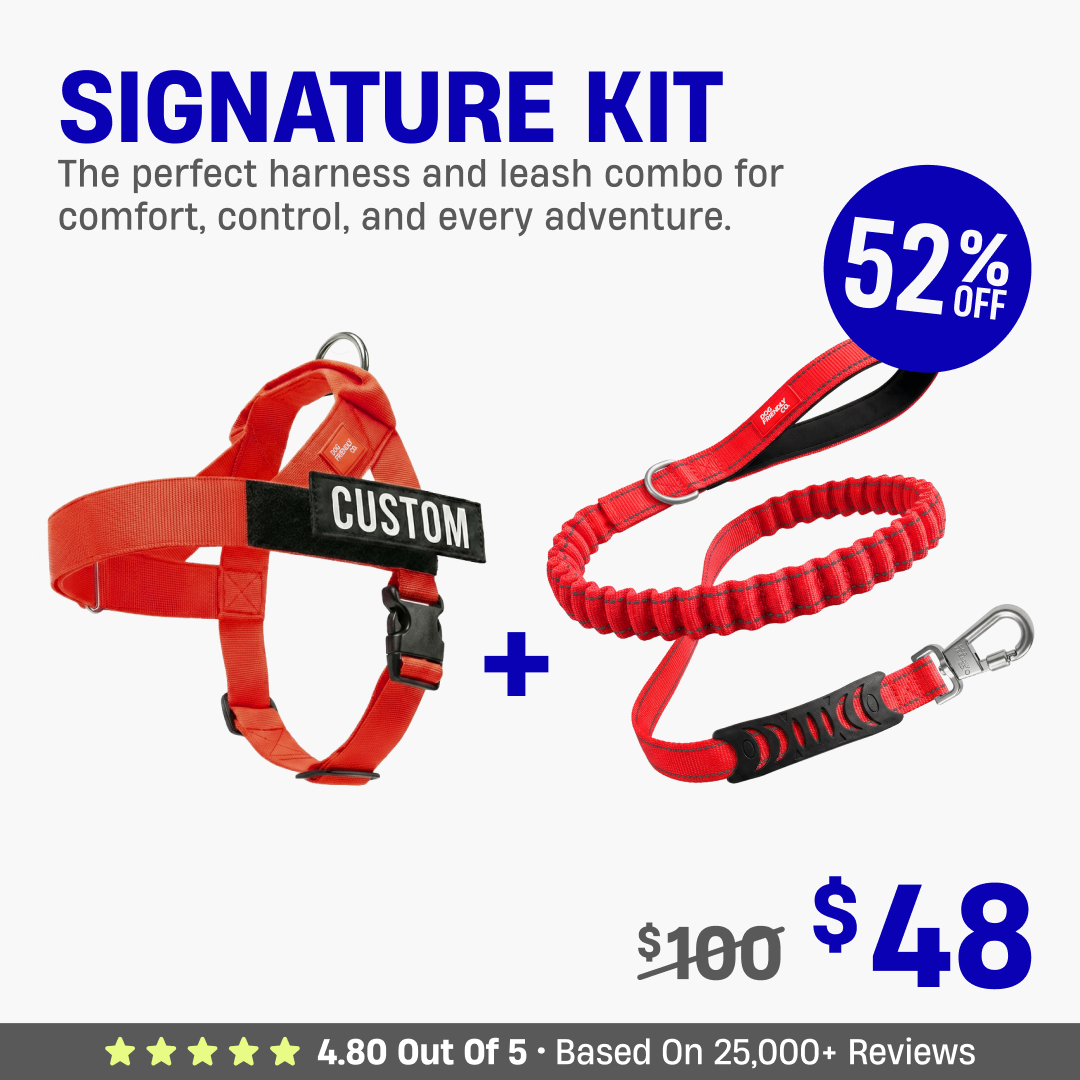 Signature Kit - 52% OFF