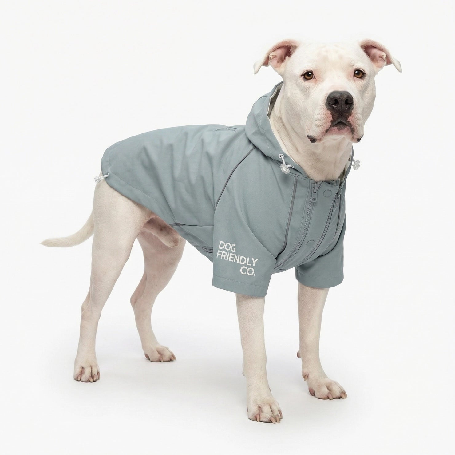 Raincoats