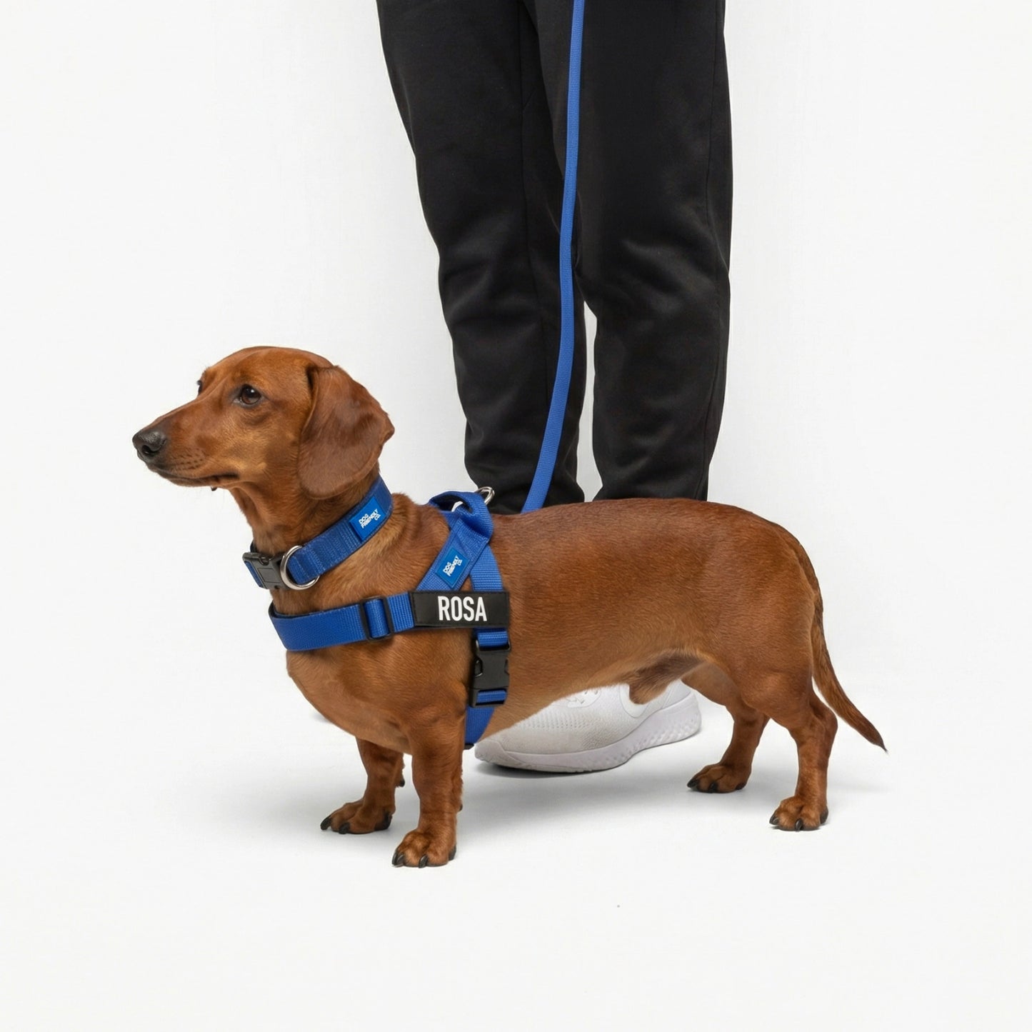 Ultimate No-Pull Bundle - Classic Blue