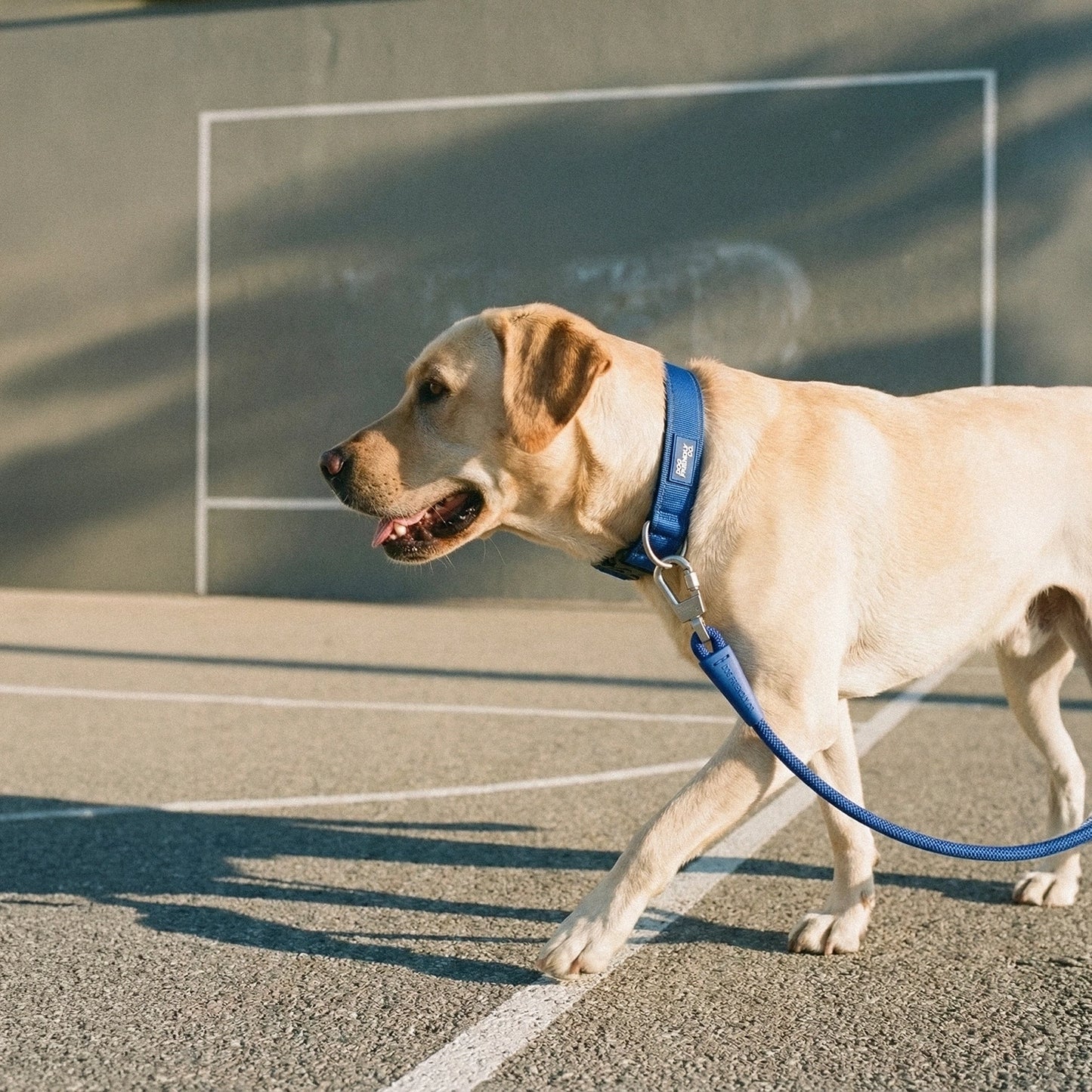 Ultimate No-Pull Bundle - Classic Blue