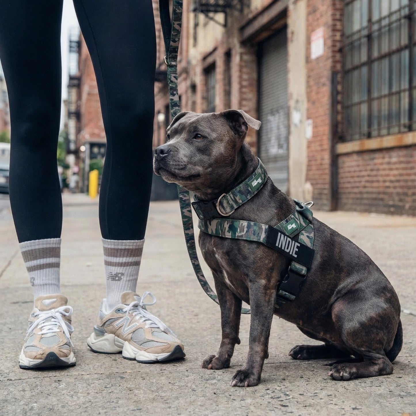 Ultimate No-Pull Bundle - Green Camo