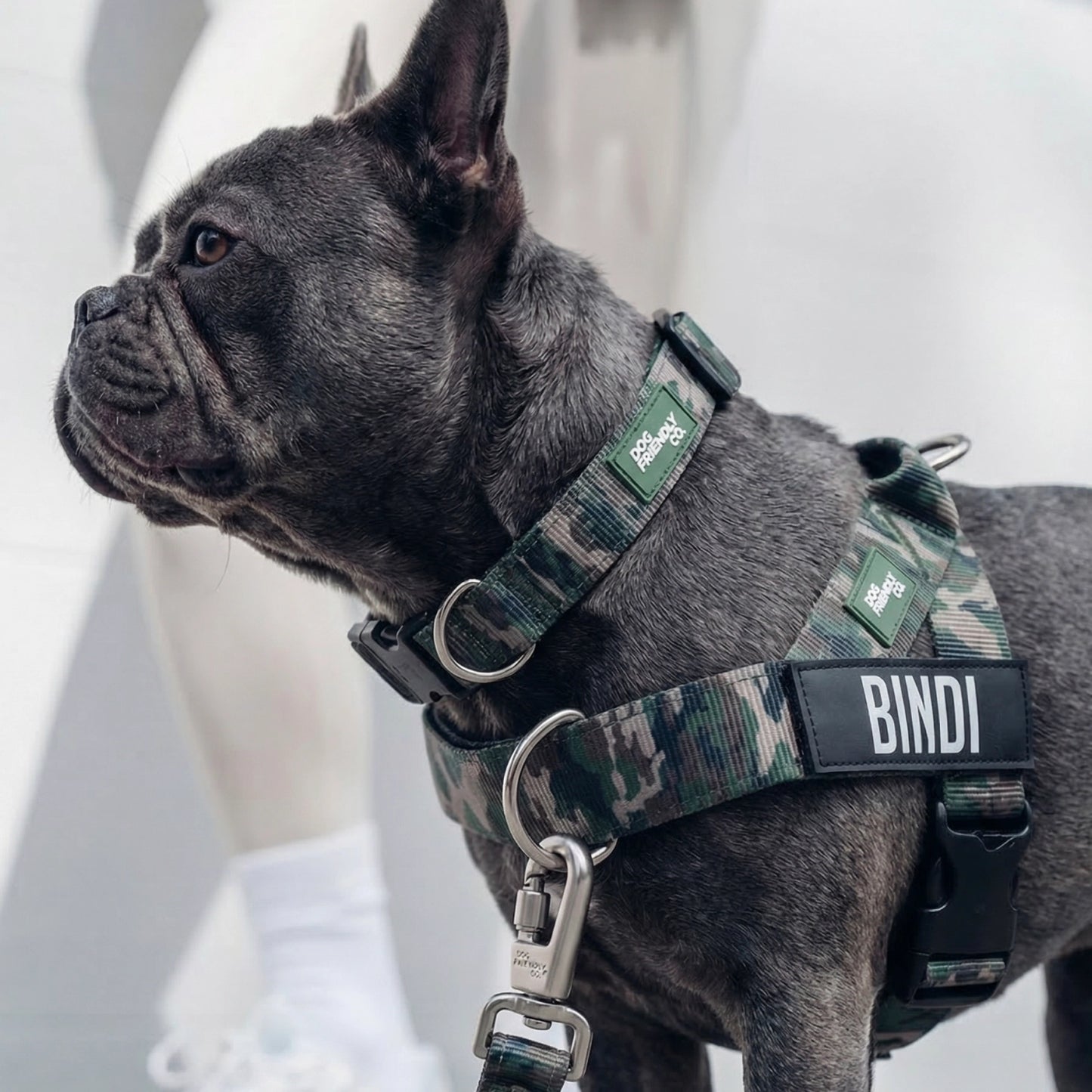 Ultimate No-Pull Bundle - Green Camo