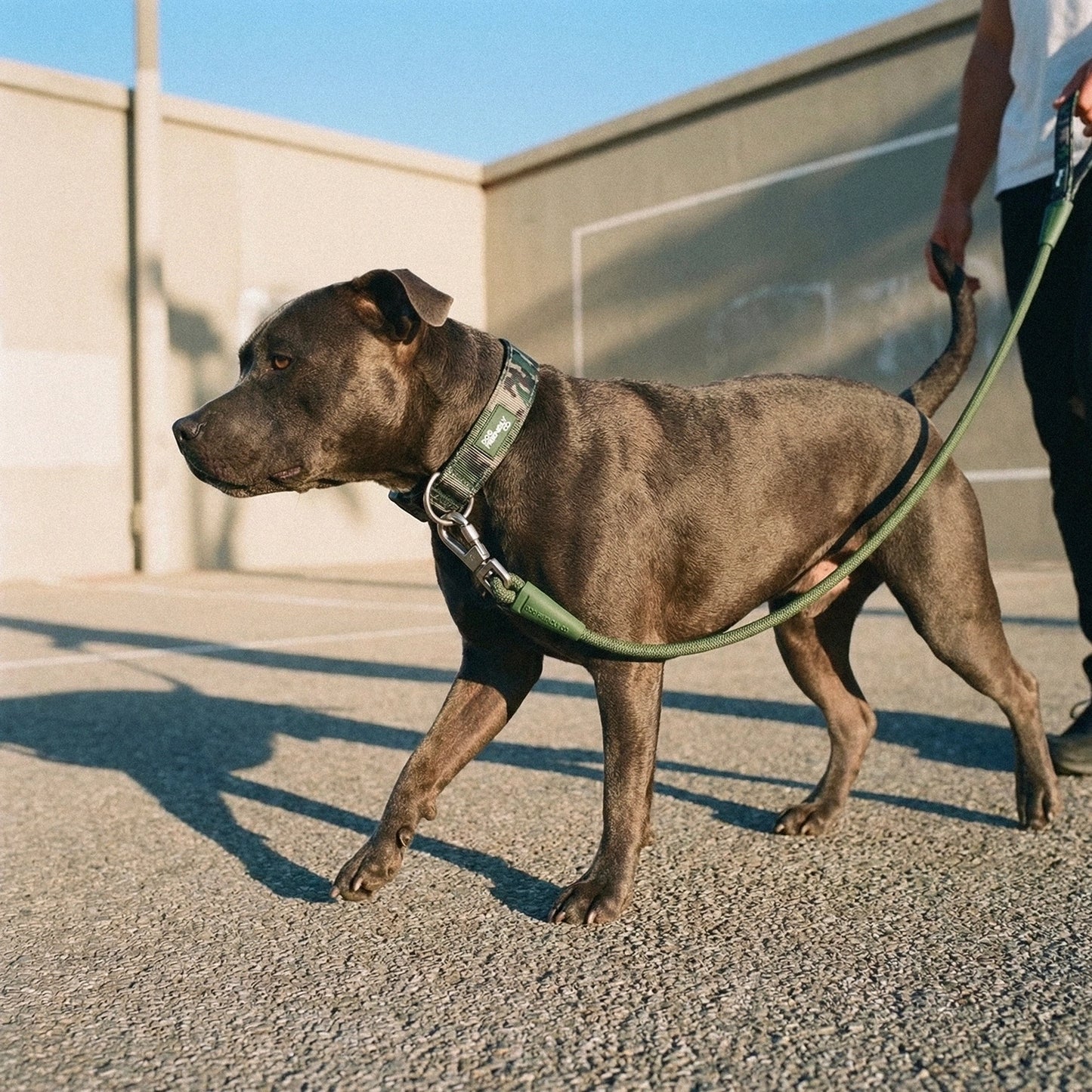 Ultimate No-Pull Bundle - Green Camo