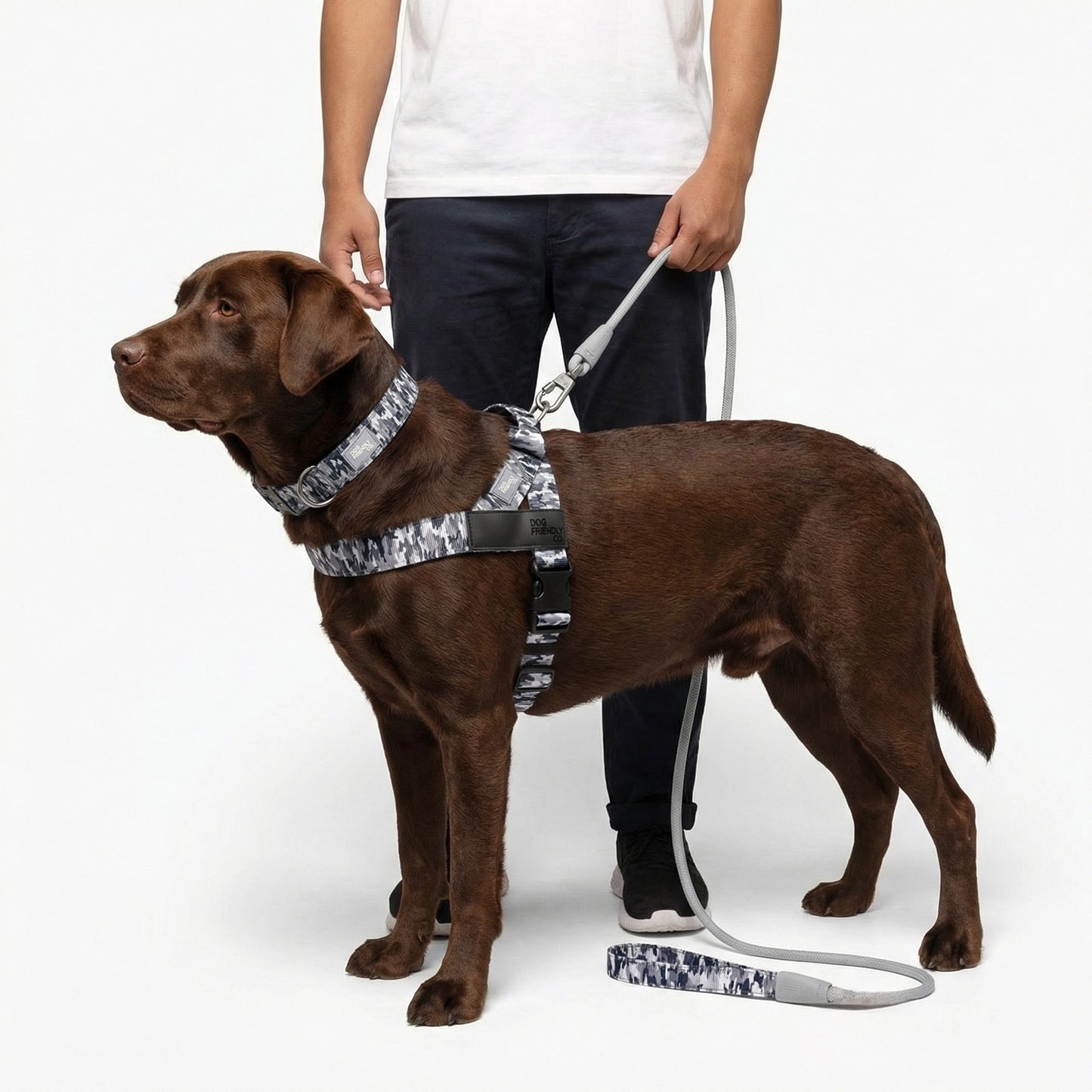 Ultimate No-Pull Bundle - Grey Camo