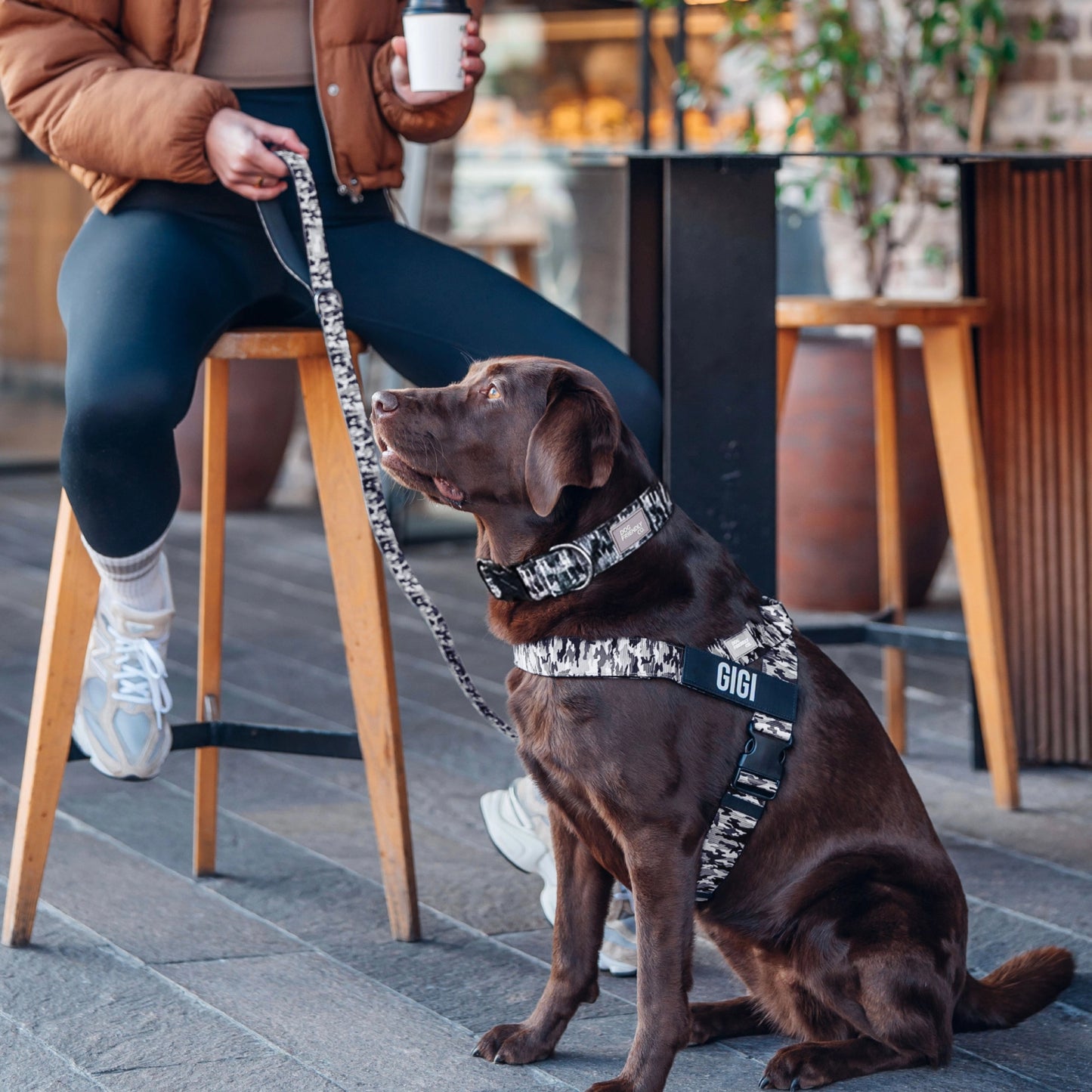 Ultimate No-Pull Bundle - Grey Camo