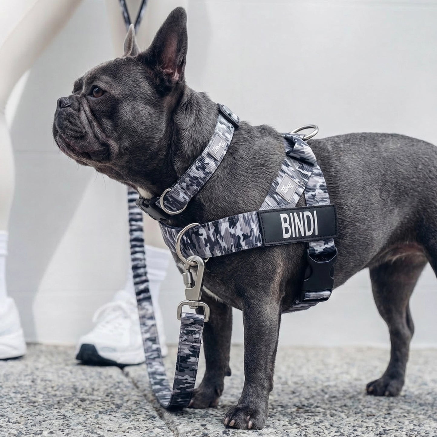 Ultimate No-Pull Bundle - Grey Camo