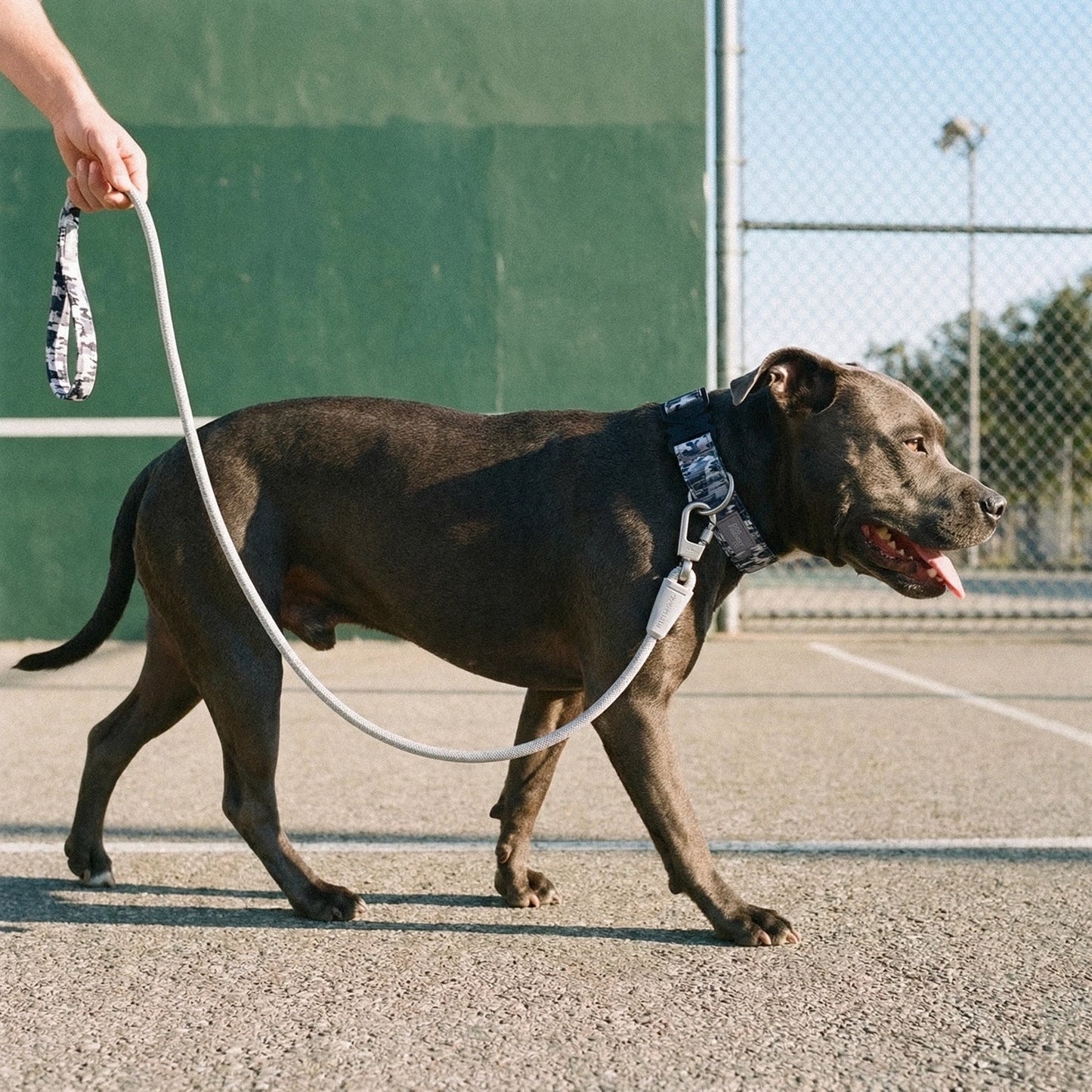 Ultimate No-Pull Bundle - Grey Camo