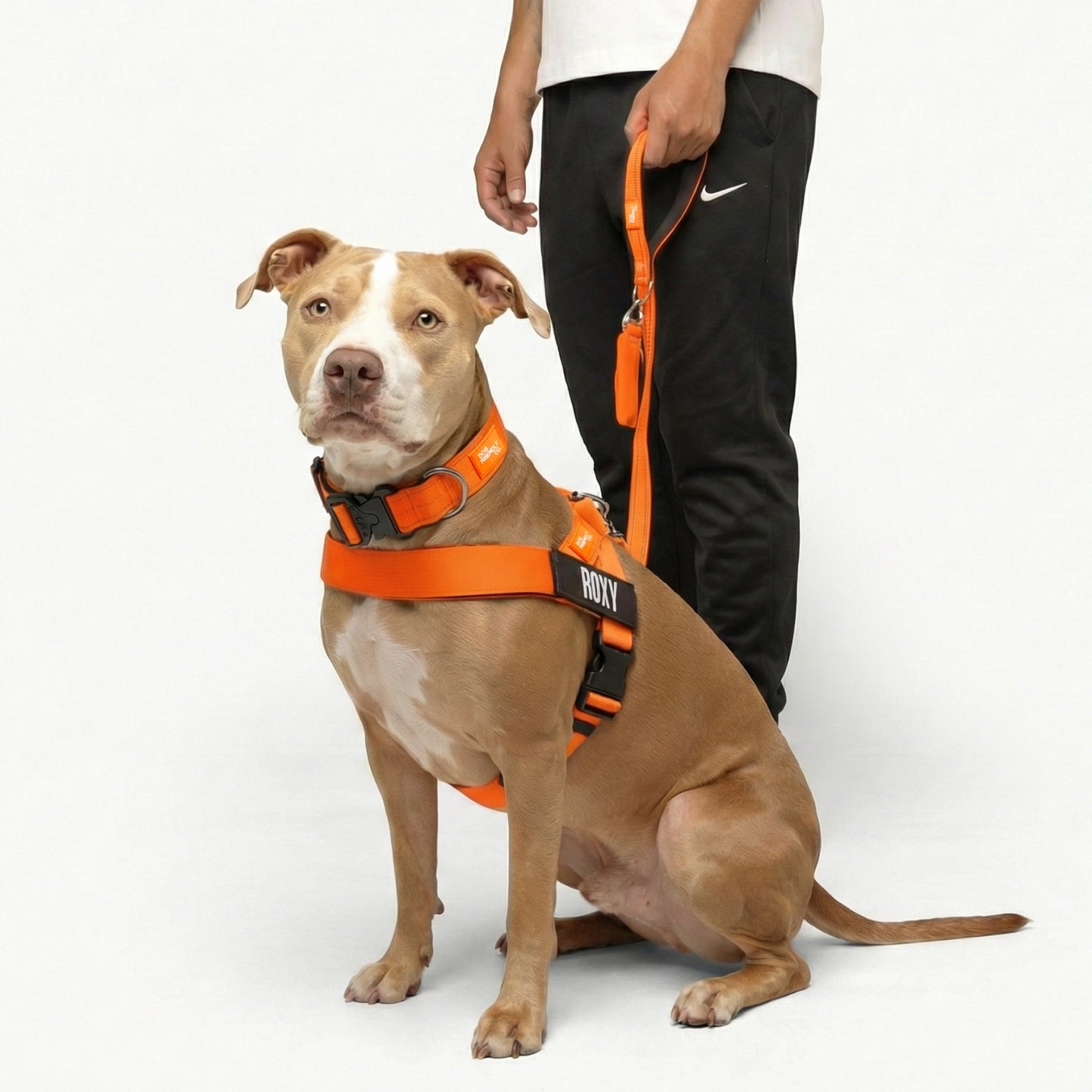 Ultimate No-Pull Bundle - Hi-Vis Orange