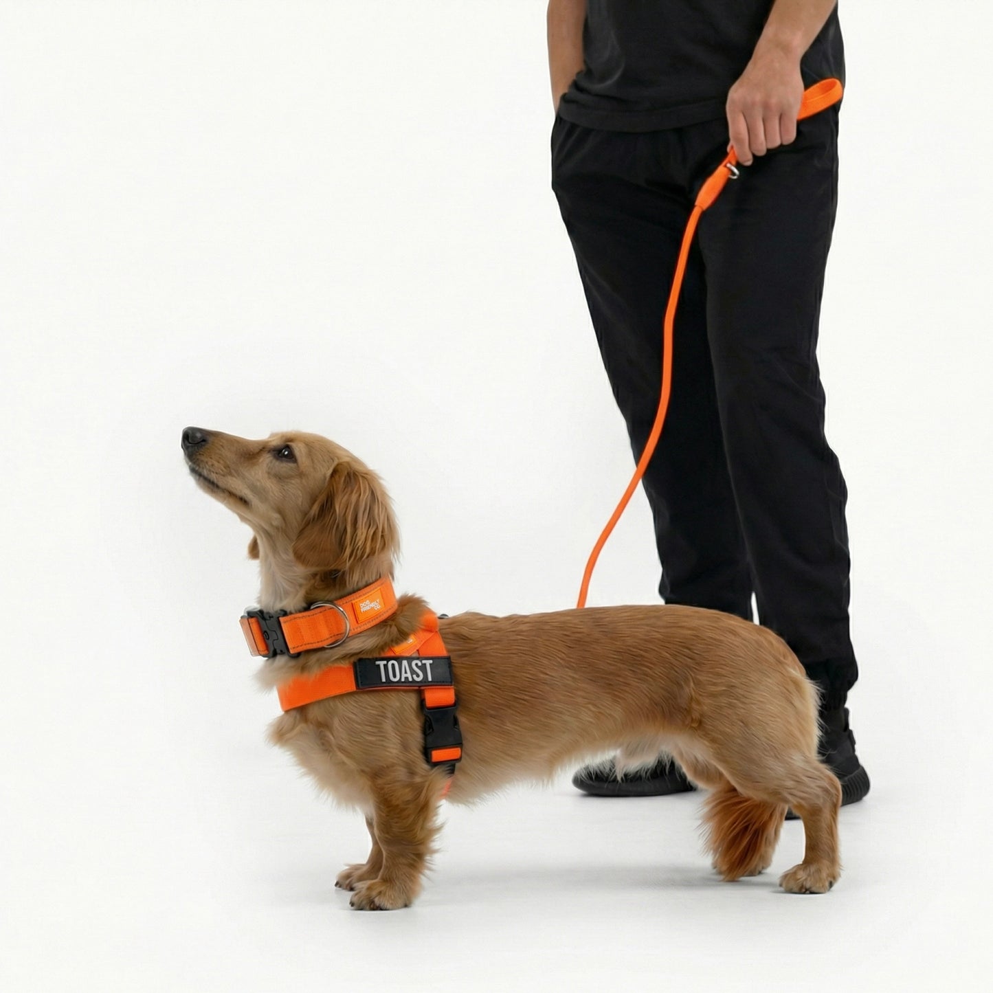 Ultimate No-Pull Bundle - Hi-Vis Orange