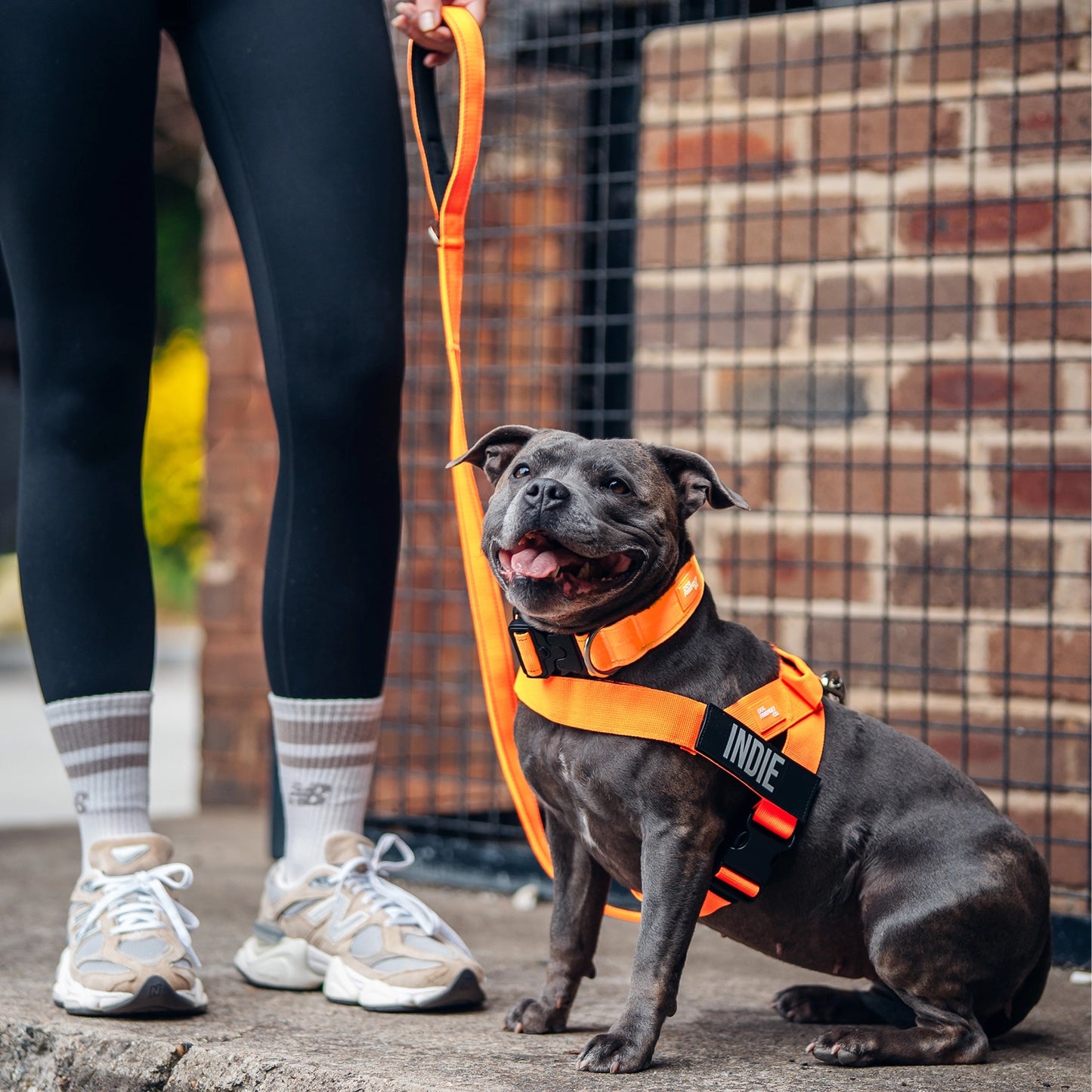 Ultimate No-Pull Bundle - Hi-Vis Orange