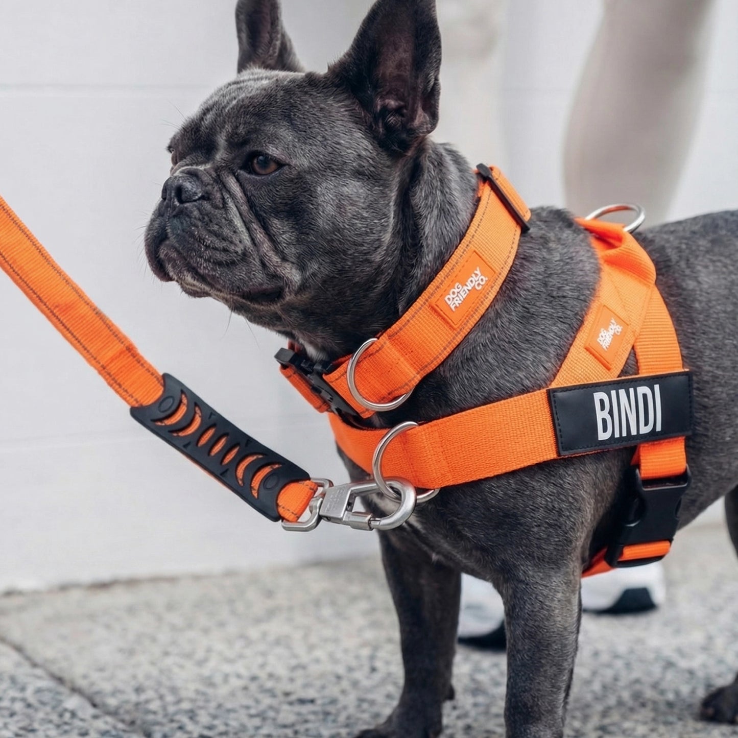 Ultimate No-Pull Bundle - Hi-Vis Orange