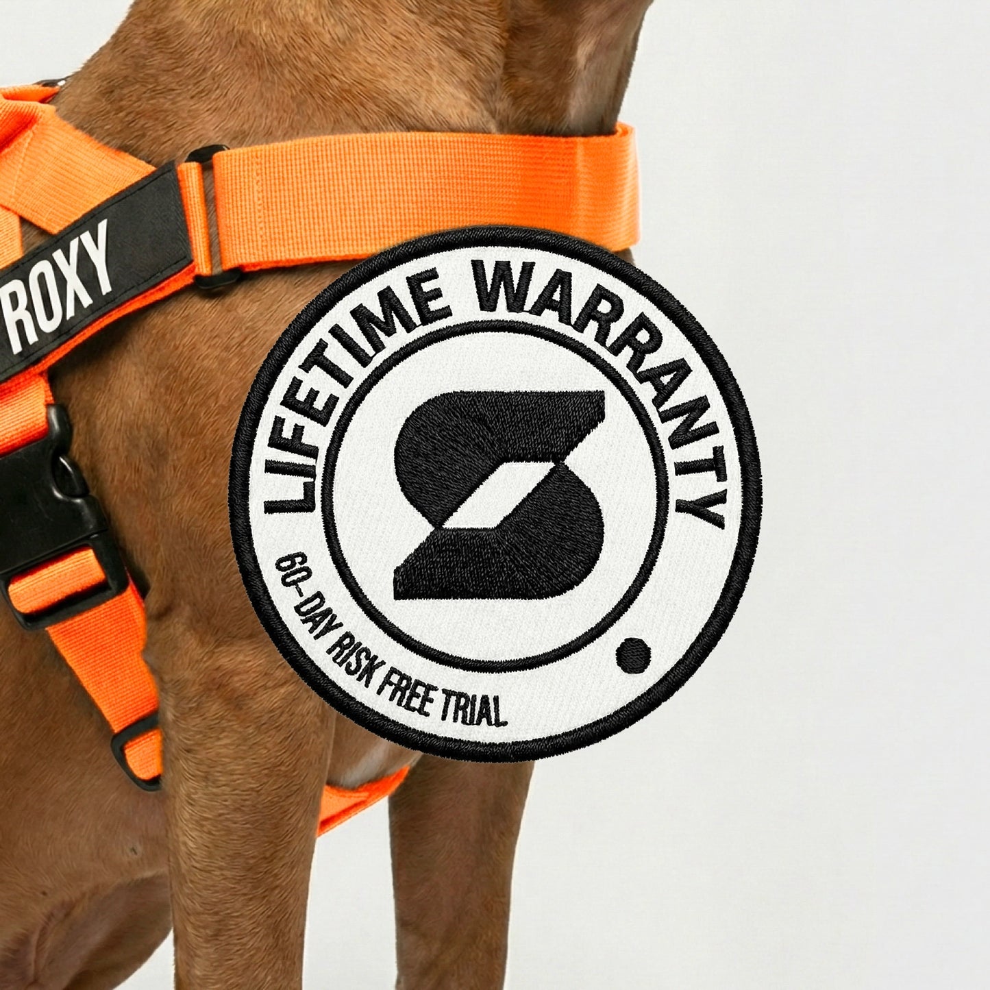 Ultimate No-Pull Bundle - Hi-Vis Orange