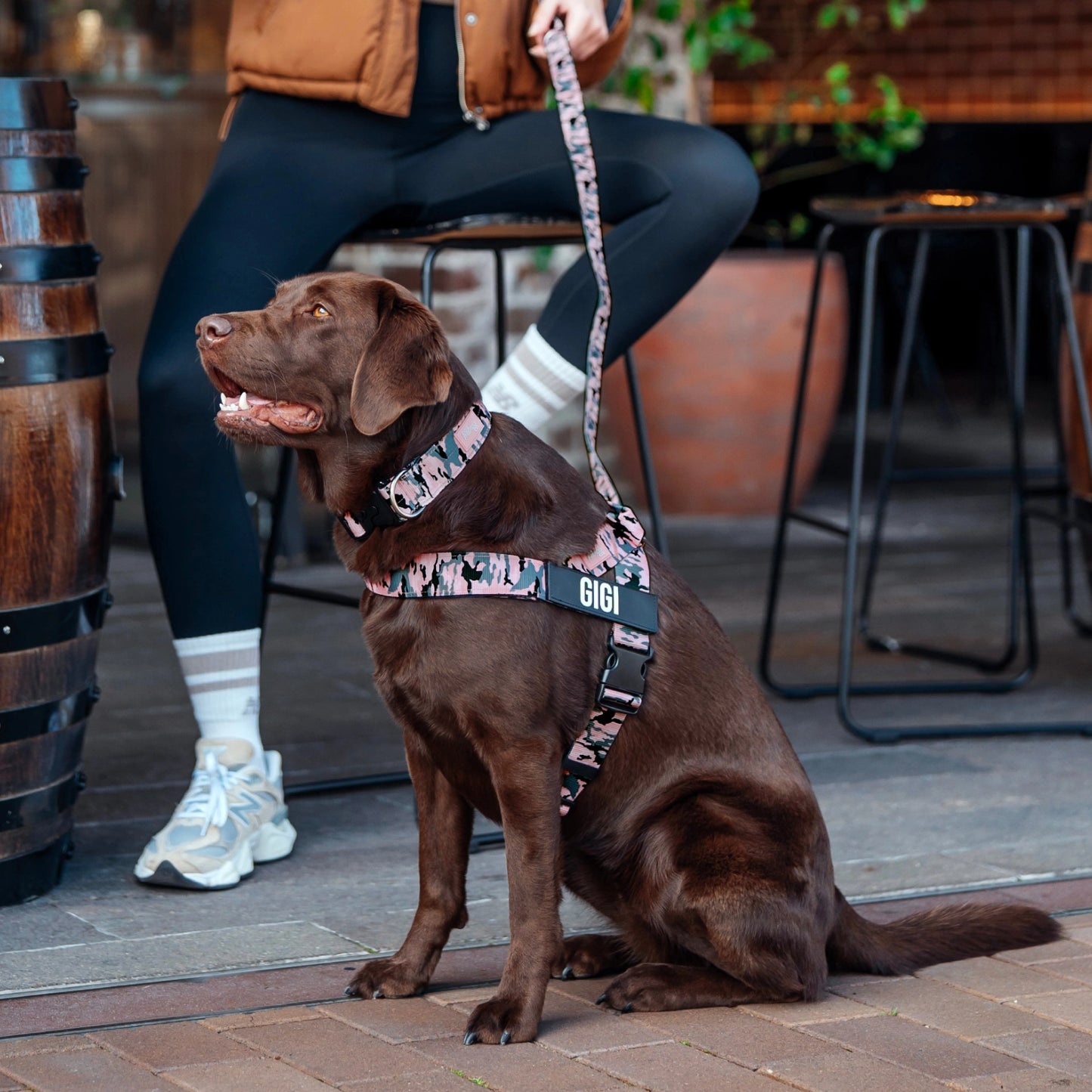 Ultimate No-Pull Bundle - Pink Camo