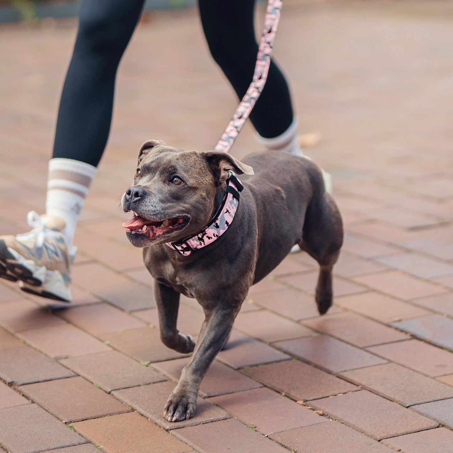 Ultimate No-Pull Bundle - Pink Camo