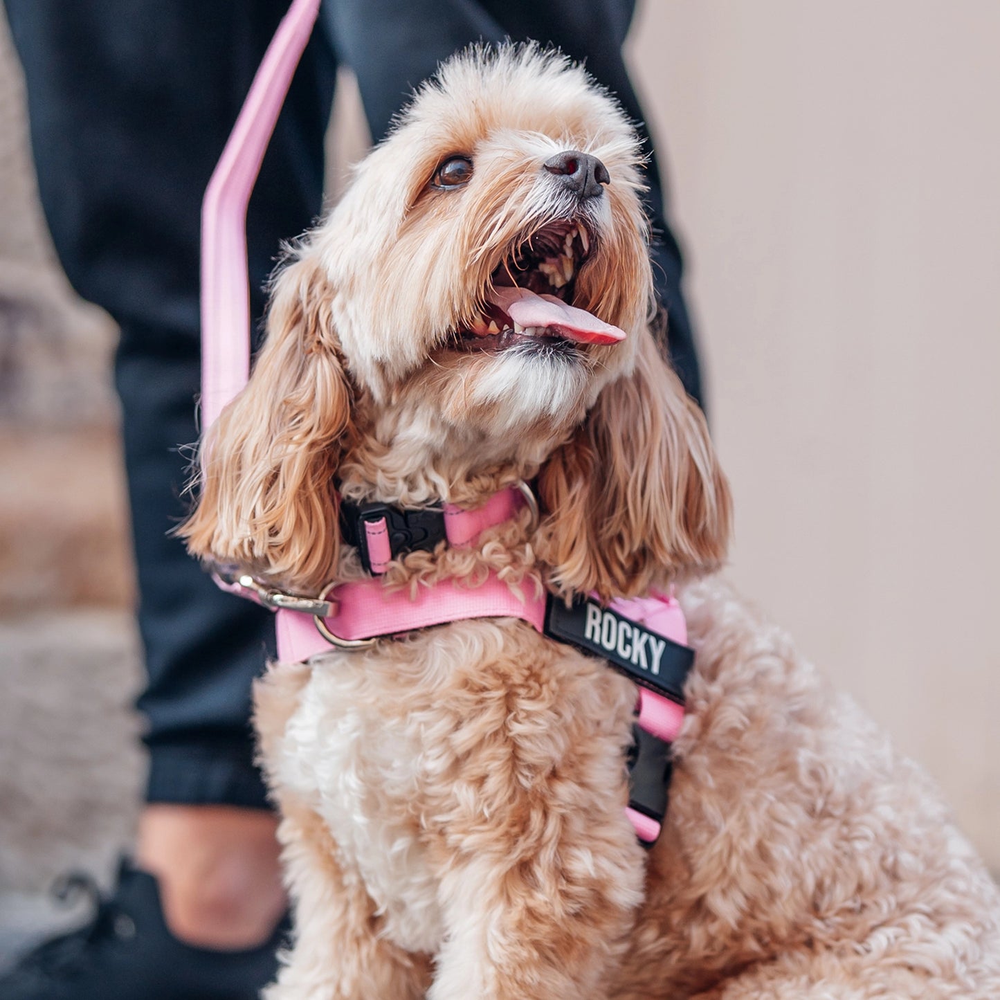 Ultimate No-Pull Bundle - Pink