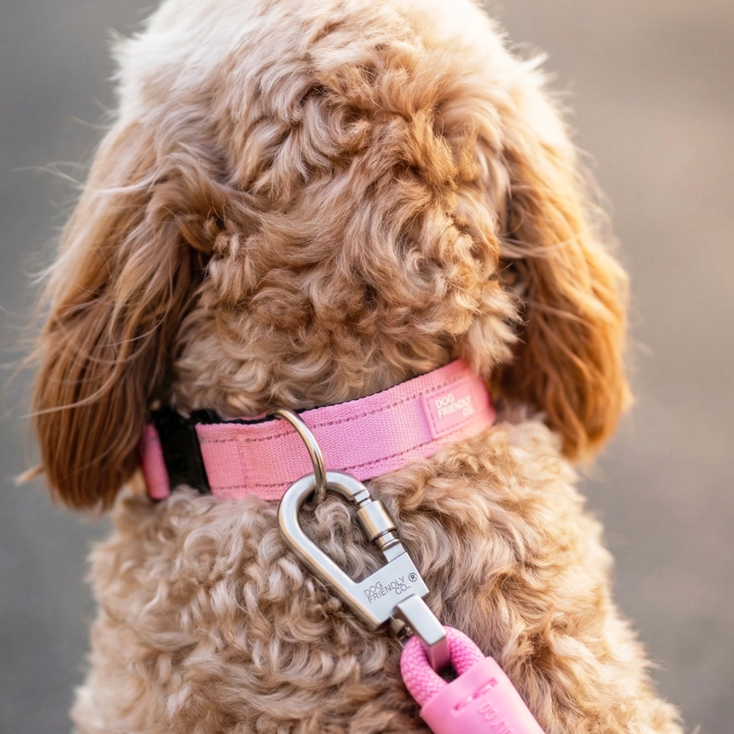 Ultimate No-Pull Bundle - Pink