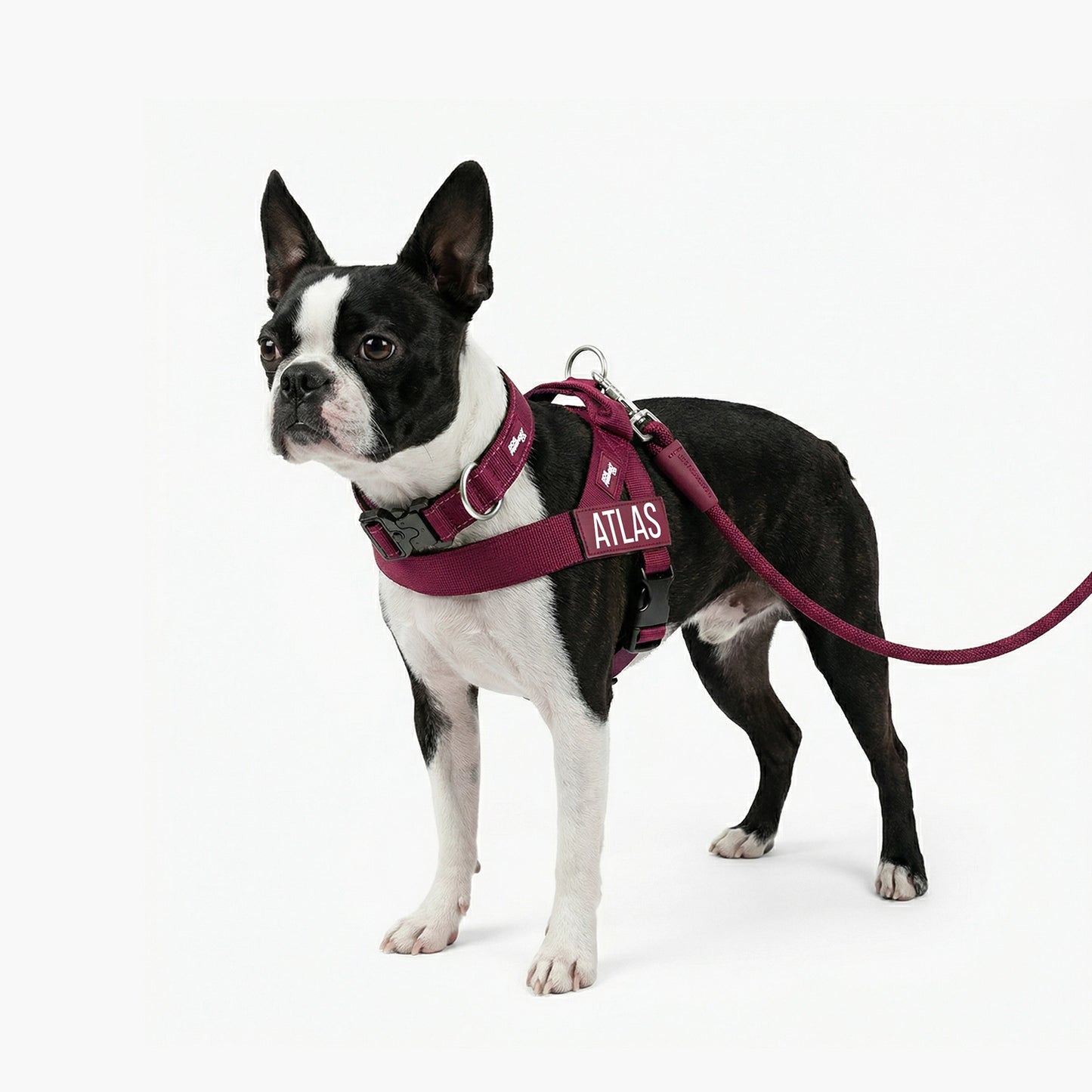 Ultimate No-Pull Bundle - Burgundy