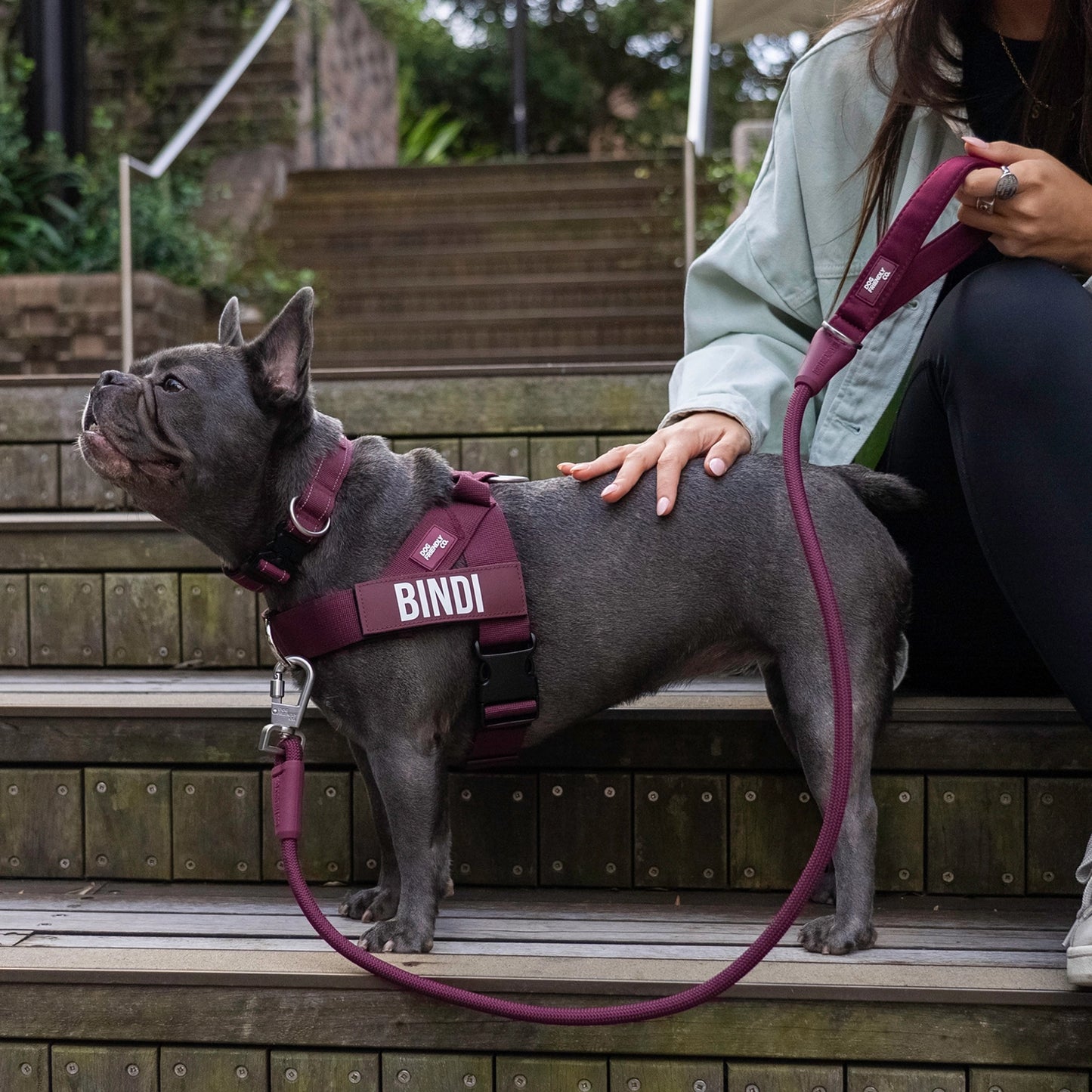 Ultimate No-Pull Bundle - Burgundy