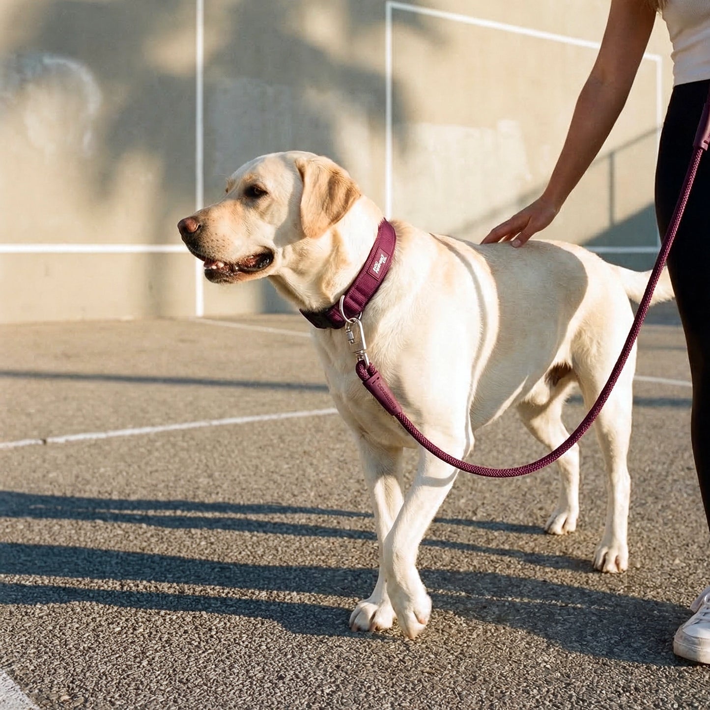 Ultimate No-Pull Bundle - Burgundy