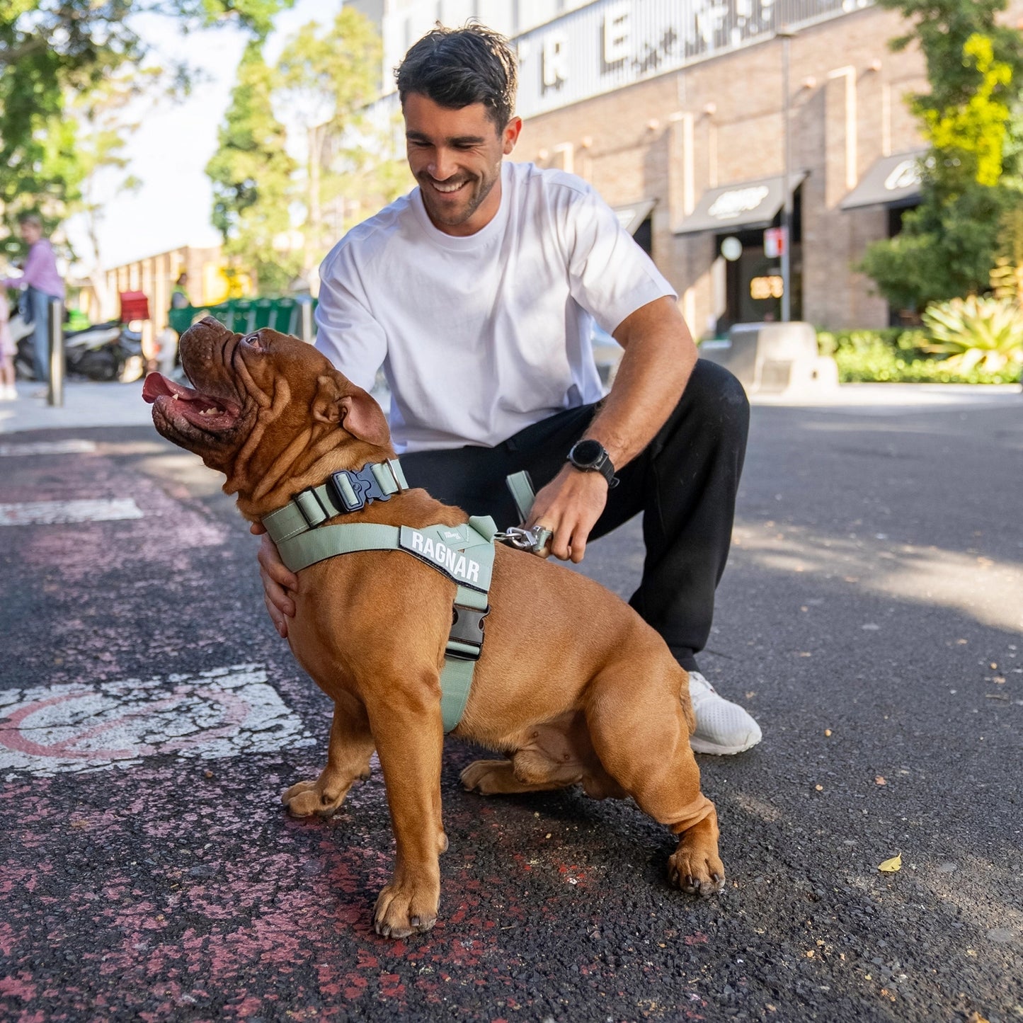 Ultimate No-Pull Bundle - Khaki