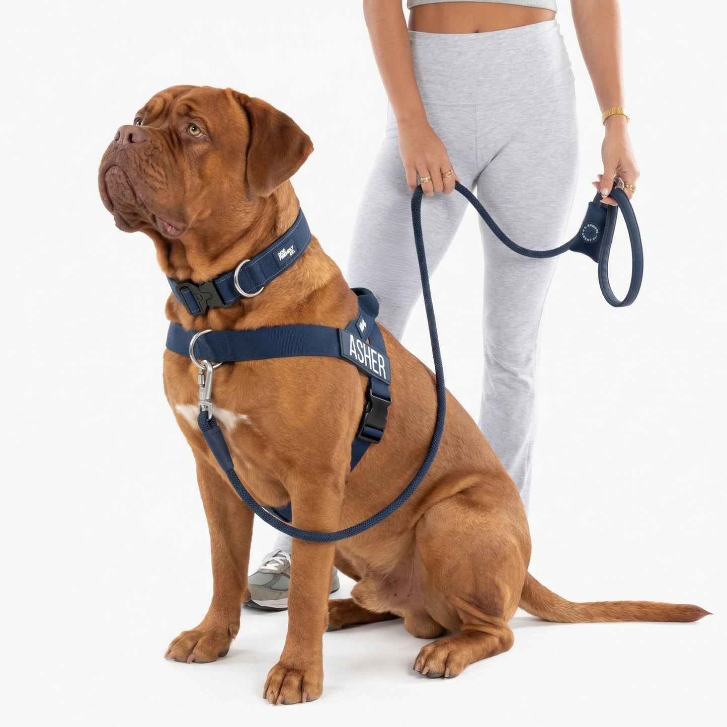 Ultimate No-Pull Bundle - Navy Blue