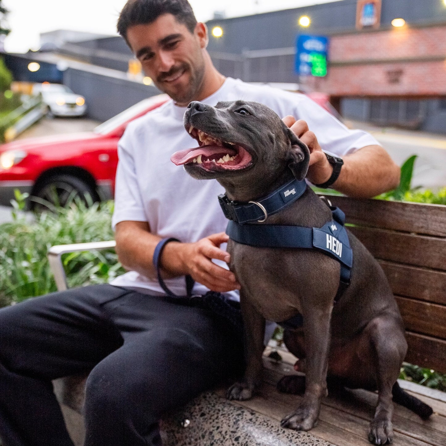 Ultimate No-Pull Bundle - Navy Blue