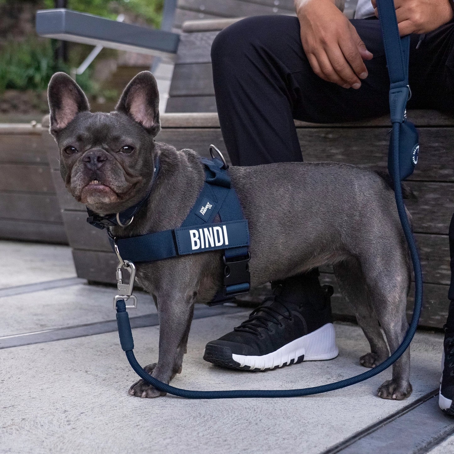 Ultimate No-Pull Bundle - Navy Blue