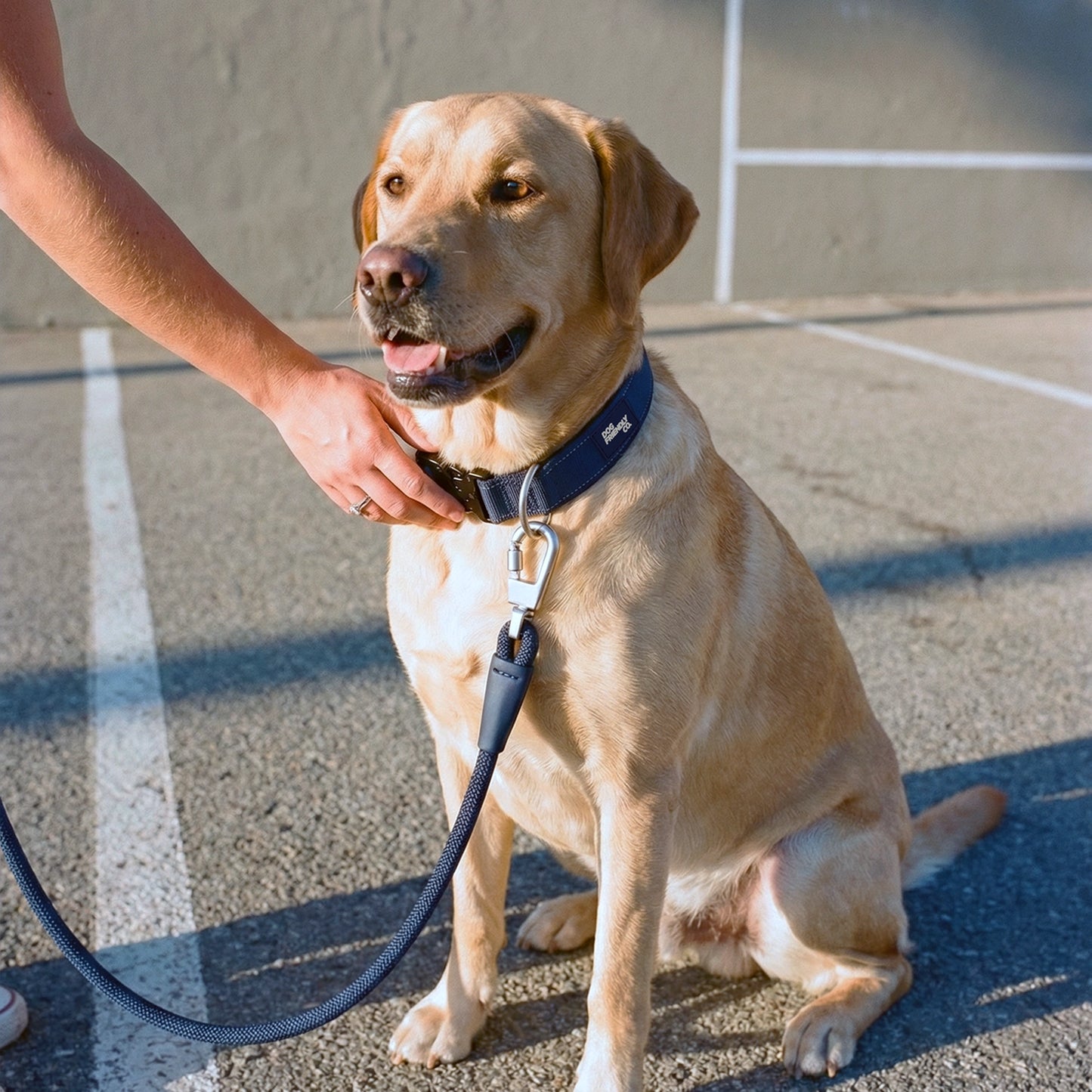 Ultimate No-Pull Bundle - Navy Blue