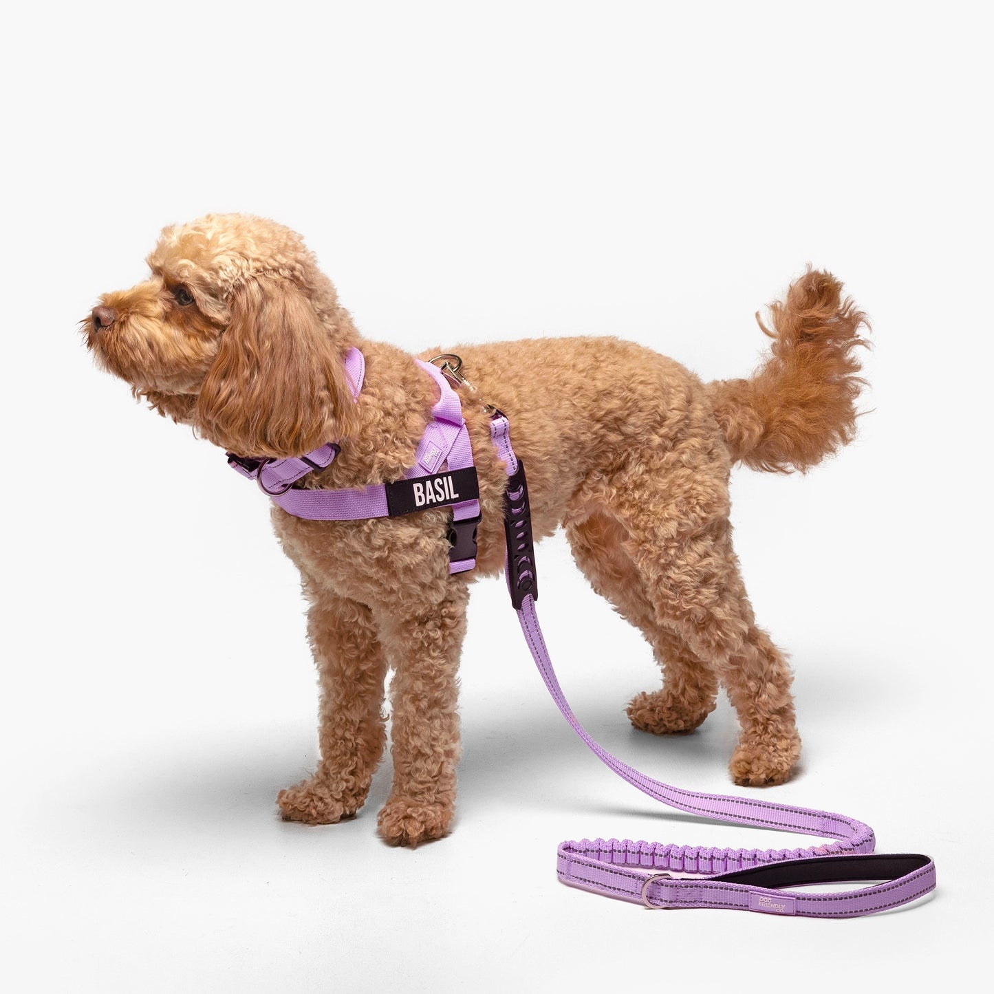 Ultimate No-Pull Bundle - Purple