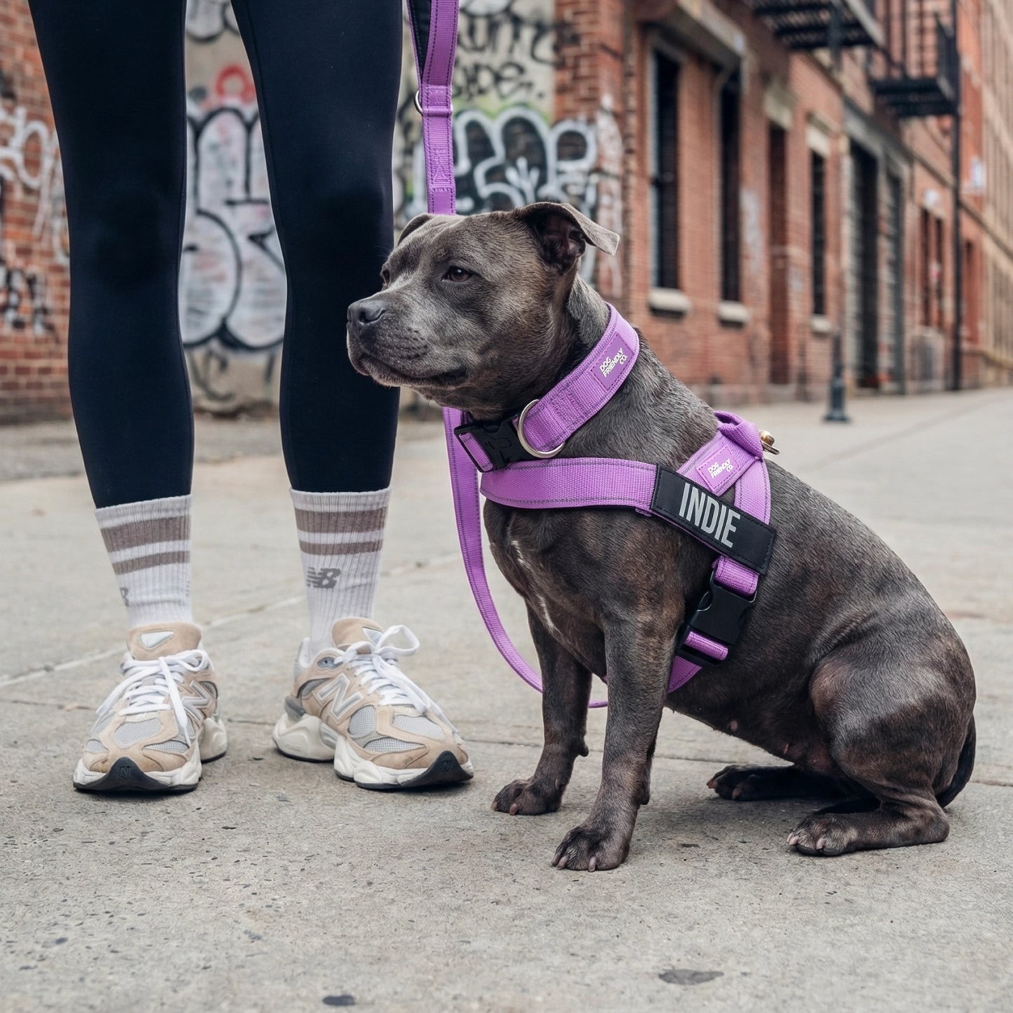 Ultimate No-Pull Bundle - Purple