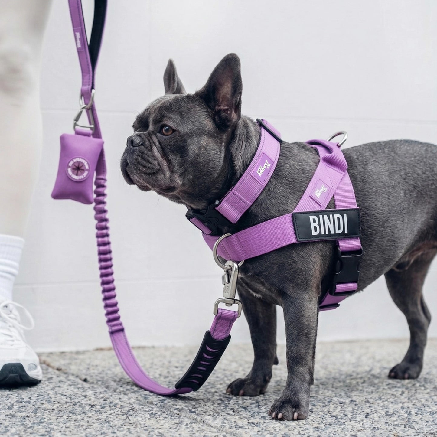 Ultimate No-Pull Bundle - Purple