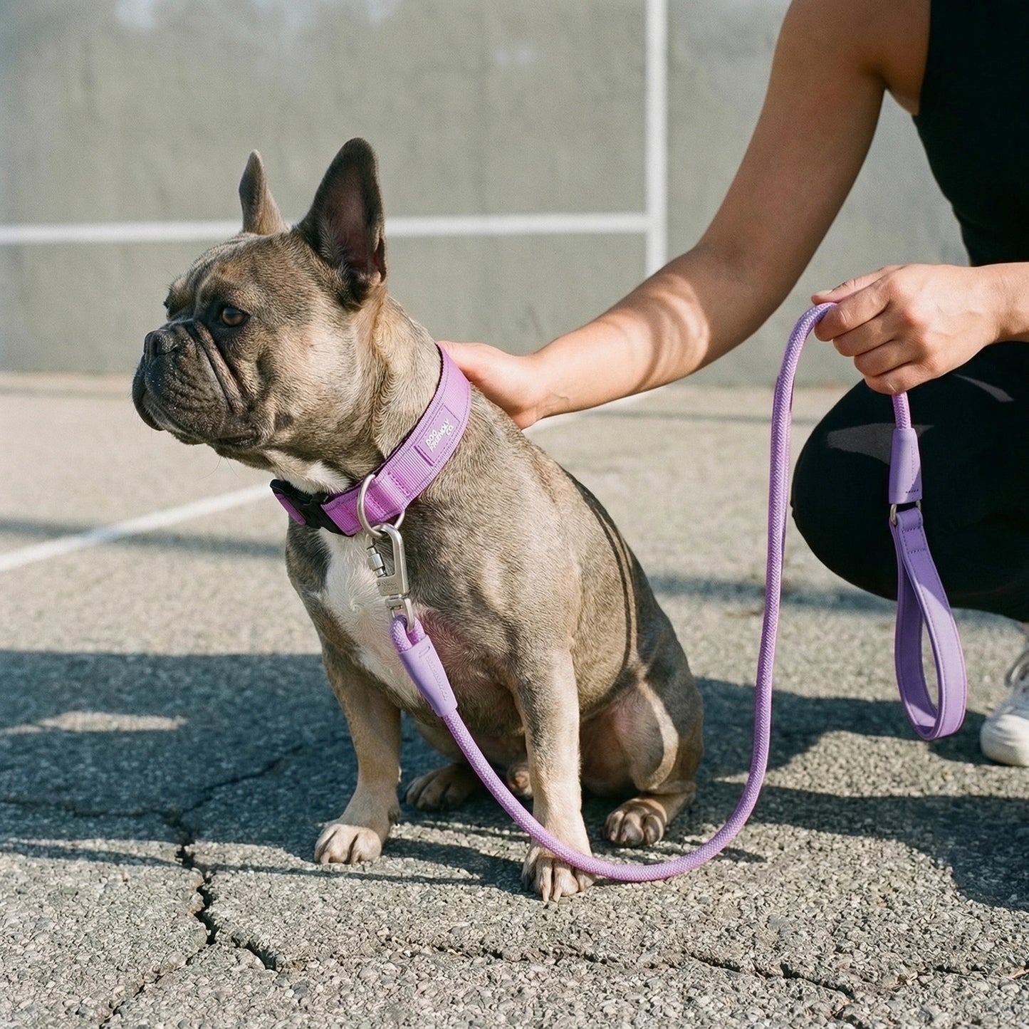 Ultimate No-Pull Bundle - Purple