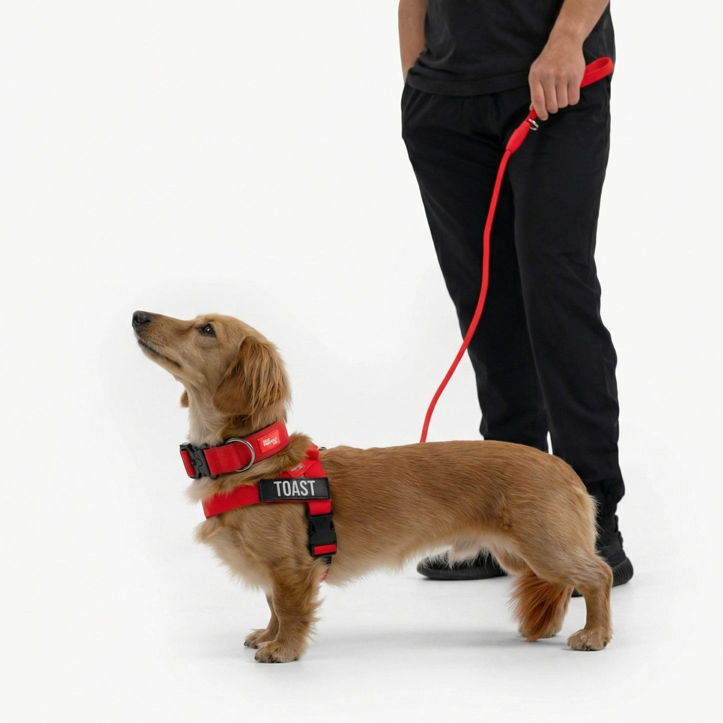 Ultimate No-Pull Bundle - Red