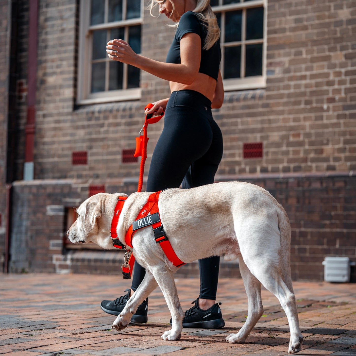 Ultimate No-Pull Bundle - Red