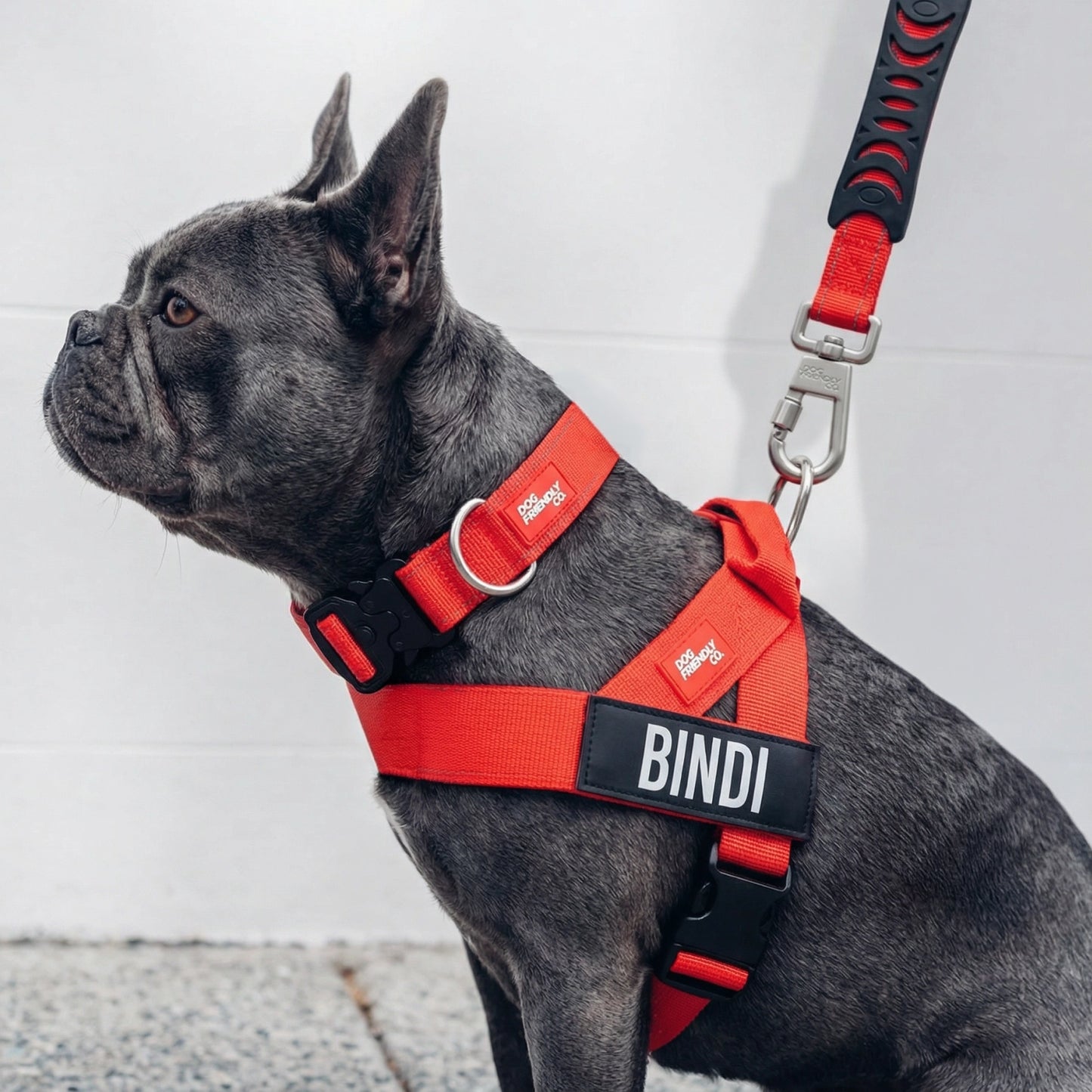 Ultimate No-Pull Bundle - Red