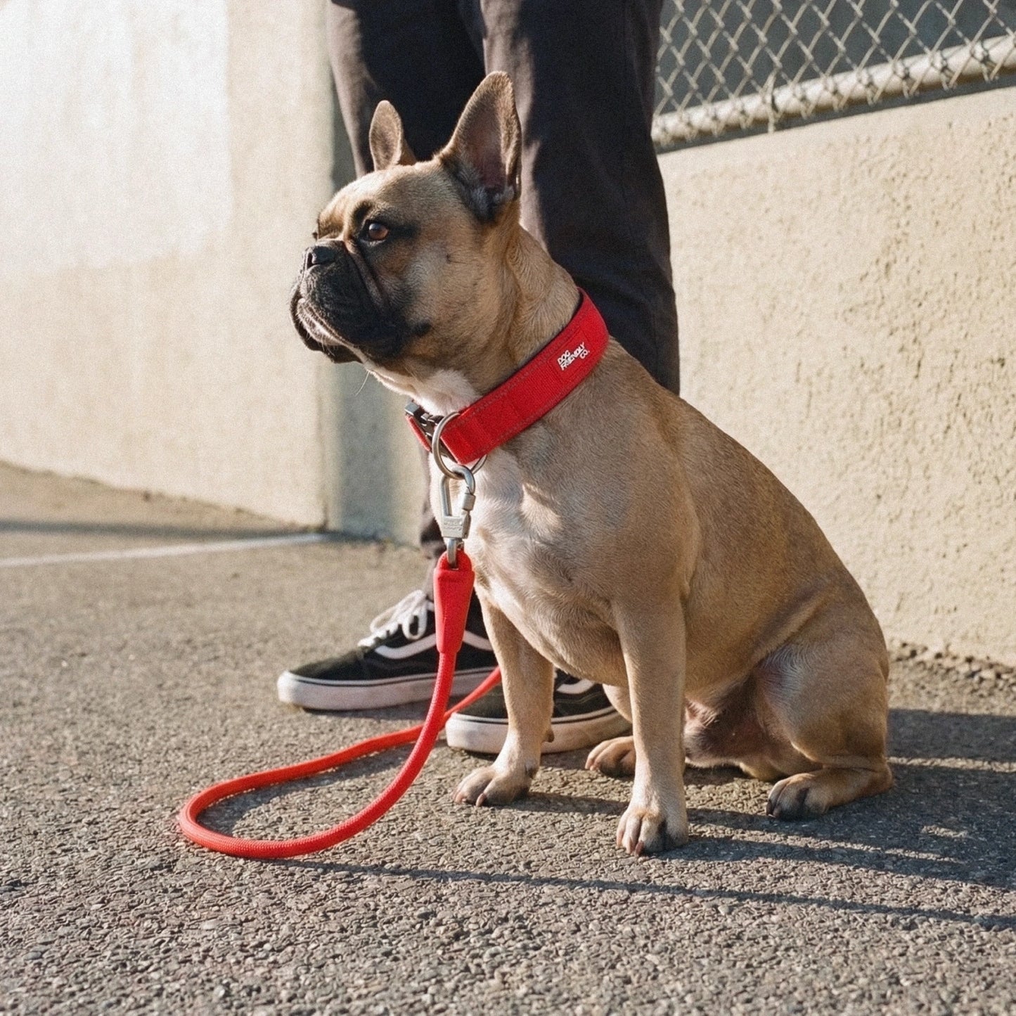 Ultimate No-Pull Bundle - Red