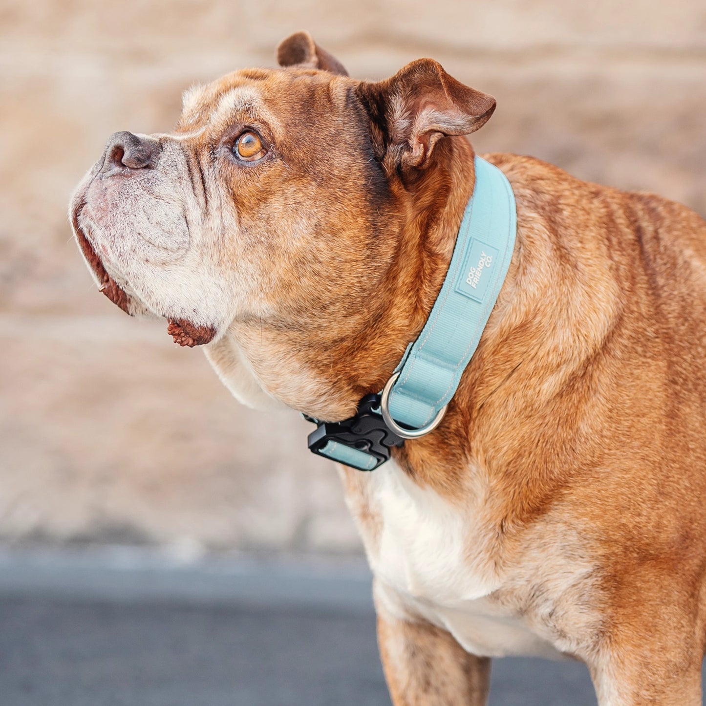 Ultimate No-Pull Bundle - Sky Blue