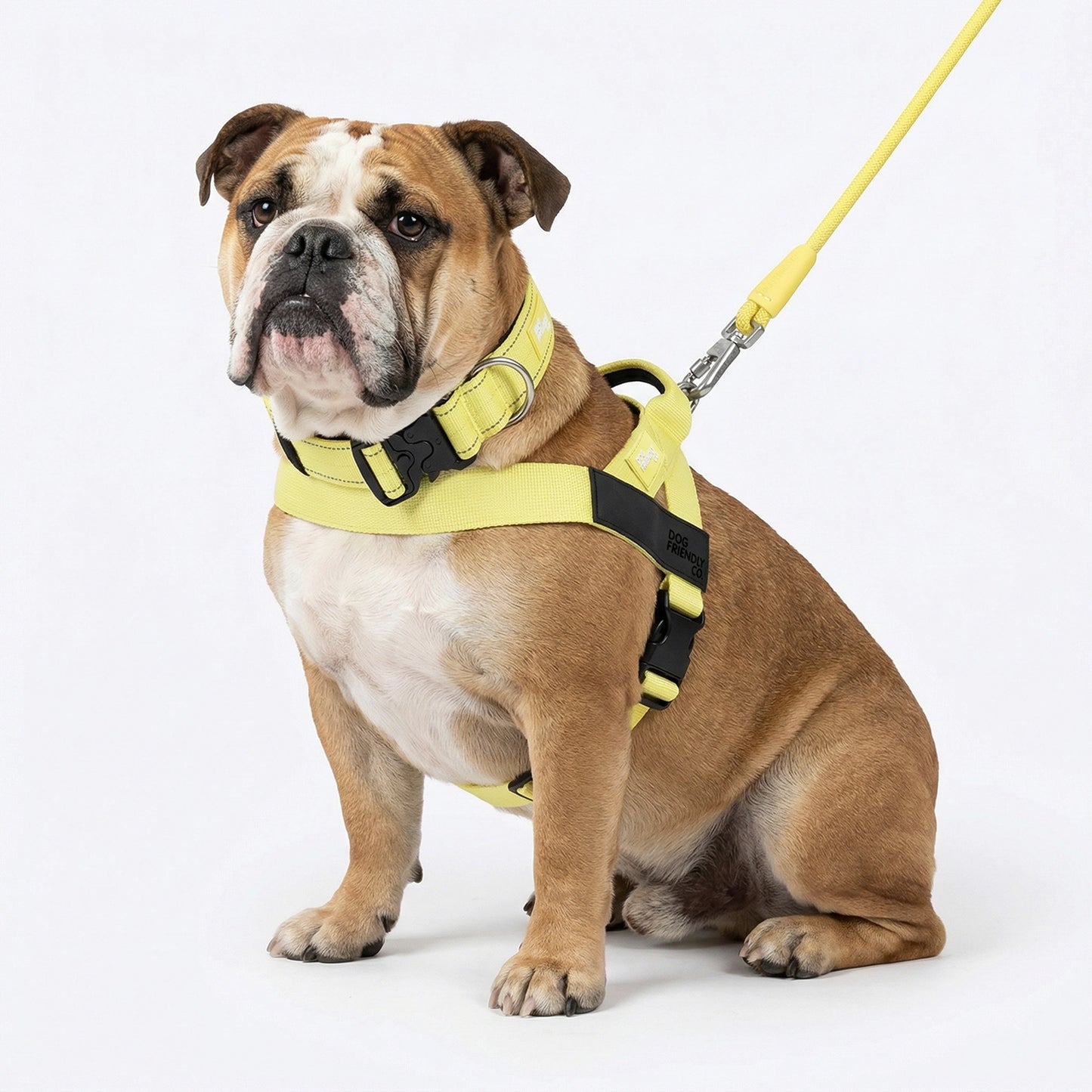 Ultimate No-Pull Bundle - Yellow