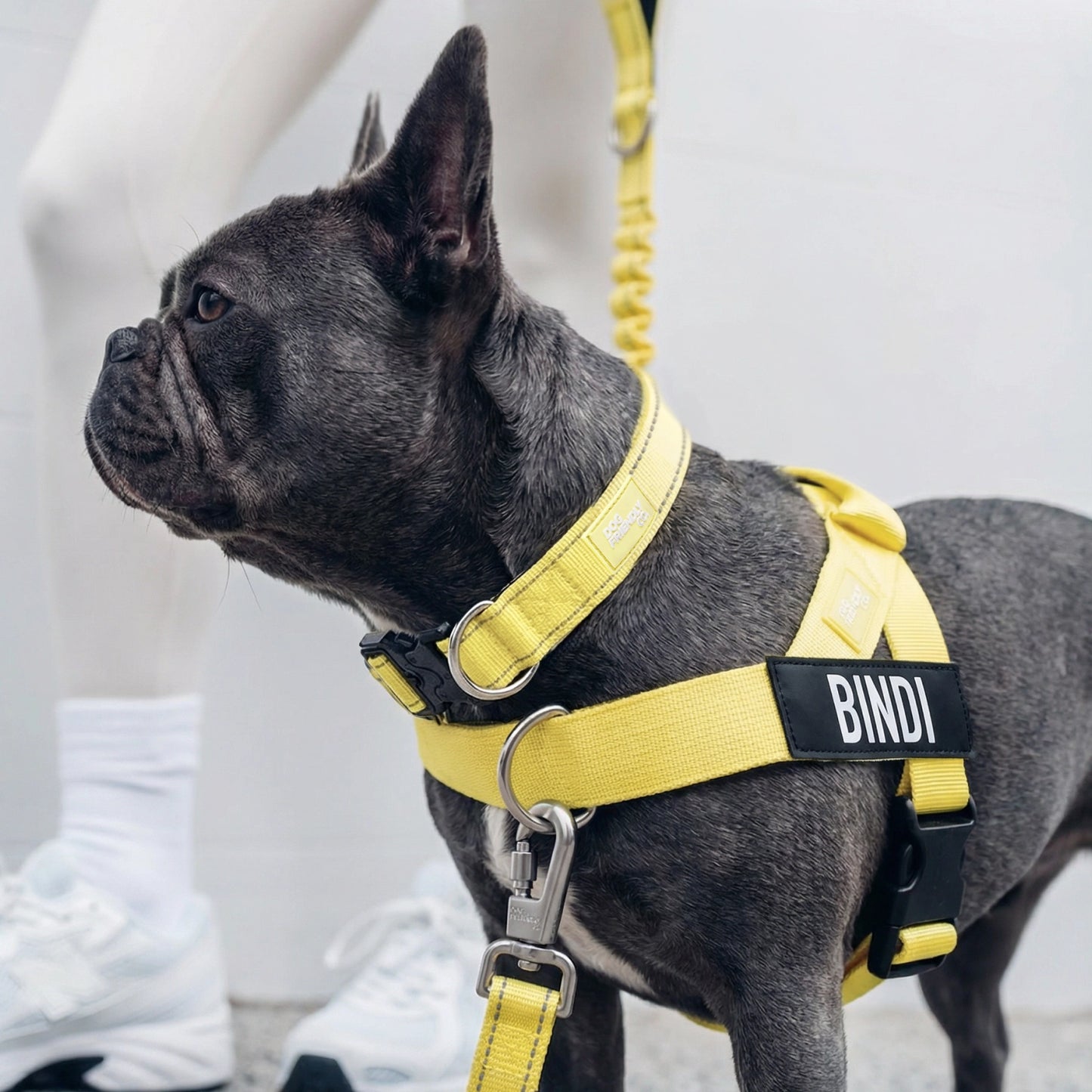 Ultimate No-Pull Bundle - Yellow