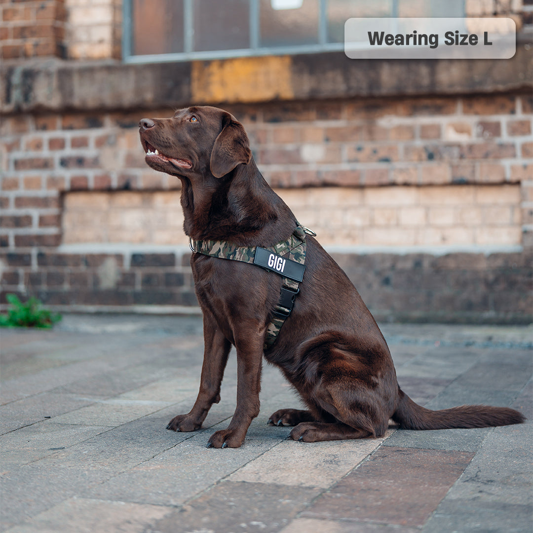 Ultimate No-Pull Bundle - Green Camo