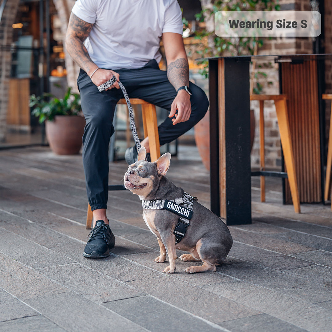 Ultimate No-Pull Bundle - Grey Camo