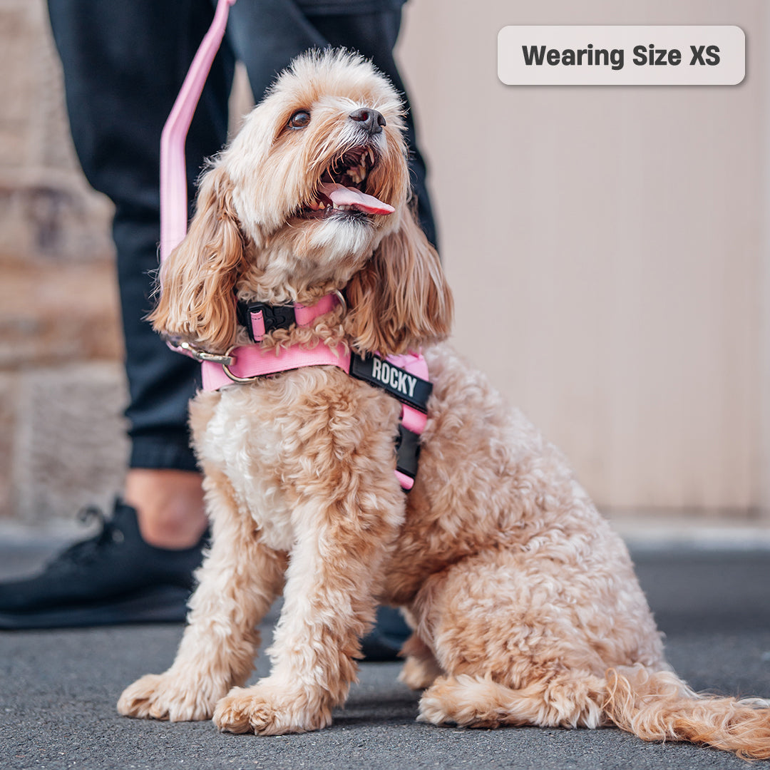 Ultimate No-Pull Bundle - Pink