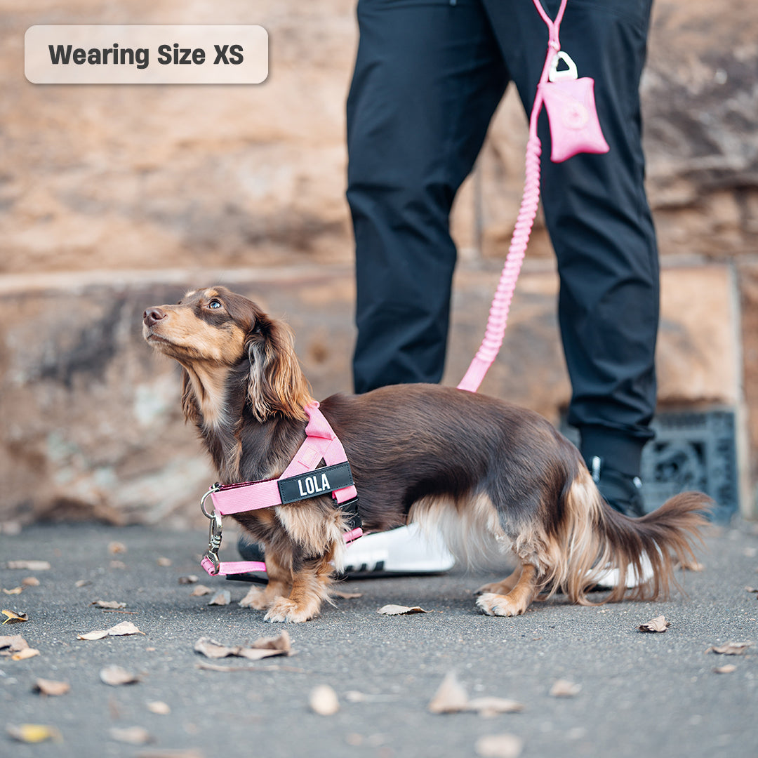 Ultimate No-Pull Bundle - Pink