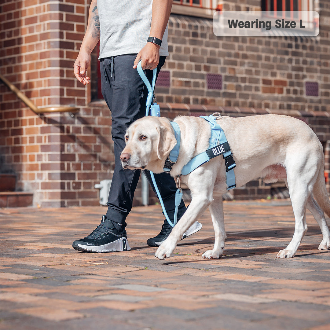 Ultimate No-Pull Bundle - Sky Blue