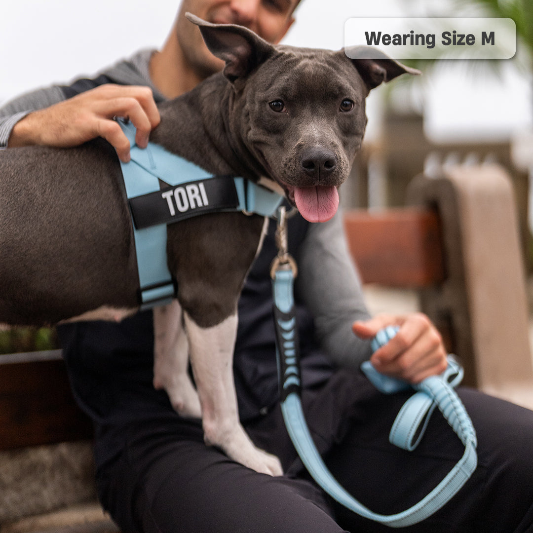 Ultimate No-Pull Bundle - Sky Blue