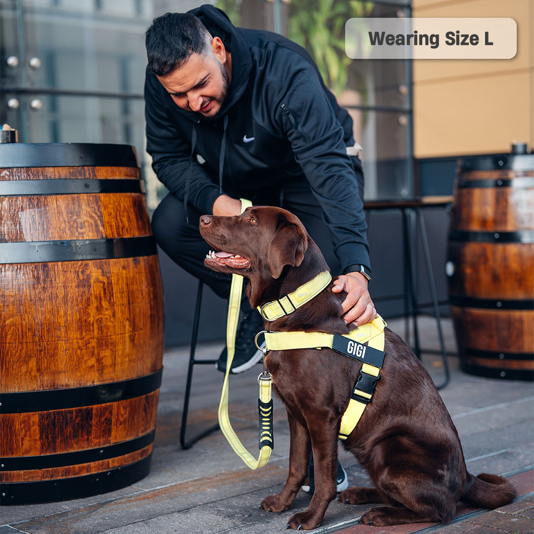 Ultimate No-Pull Bundle - Yellow