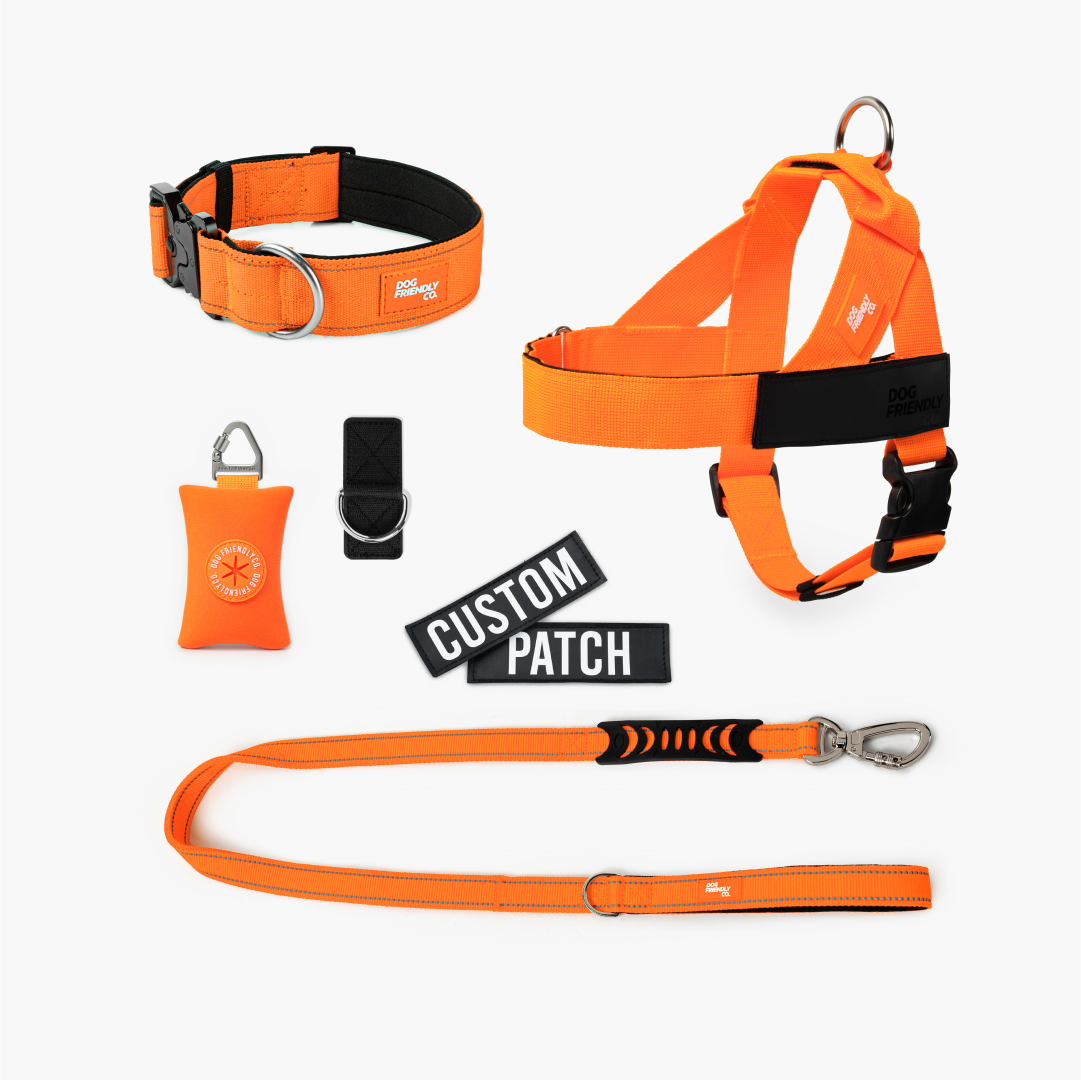 Ultimate No-Pull Bundle - Hi-Vis Orange