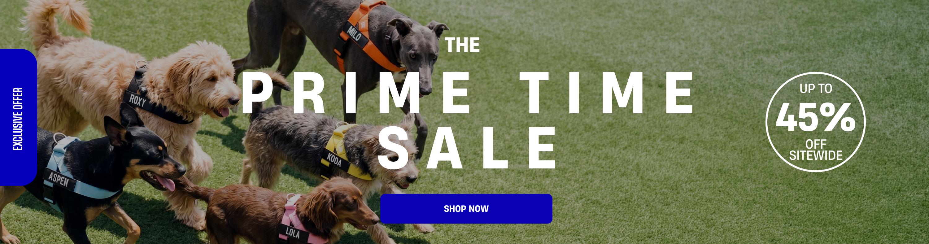 Prime Time Sale